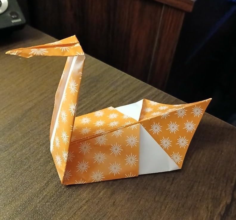 Origami Extravaganza! Folding Paper, a Book, and a Box: Origami Kit Includes Origami Book, 38 Fun Projects and 162 Origami Papers: Great for Both Kids and Adults customer photo 1