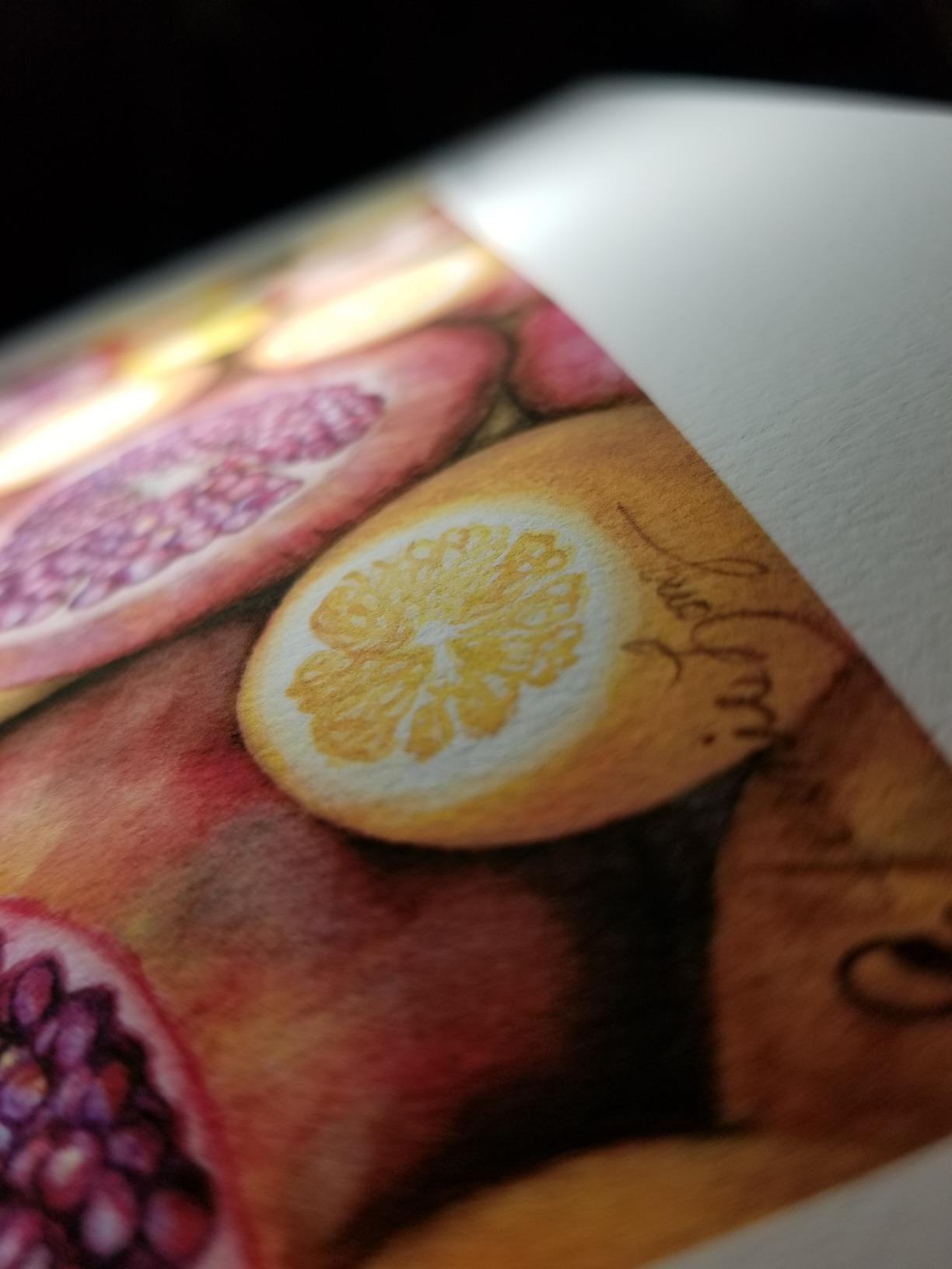 Epson Watercolor Paper Radiant, White, 13 x 19 Inches, 20 Sheets (S041351) customer photo 1