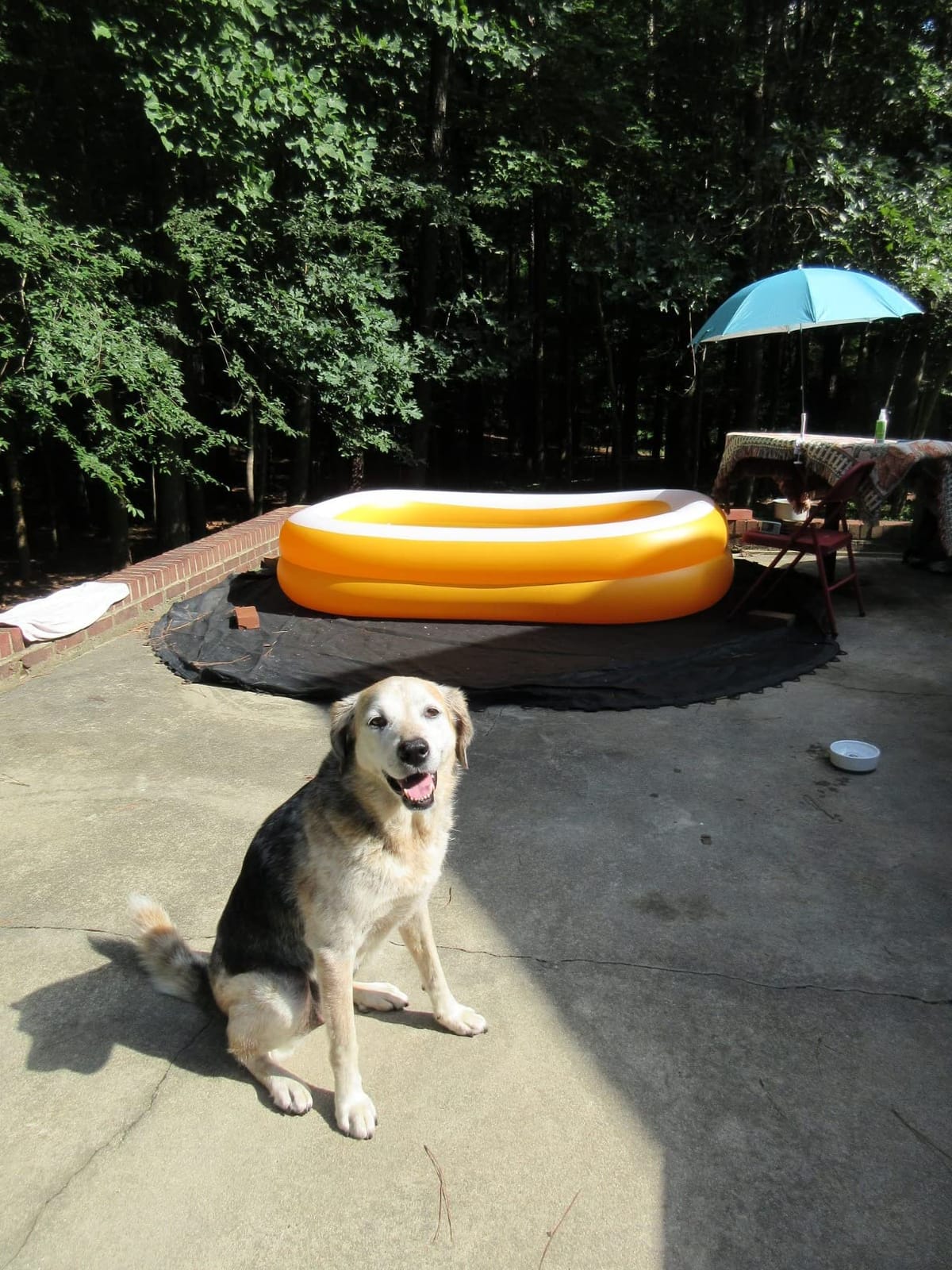 INTEX Rectangular Family Lounge Inflatable Swimming Pool for Kids & Adults | 58484EP - Outdoor Backyard Swim Center for Family Fun, 120in x 72in x 22in customer photo 2