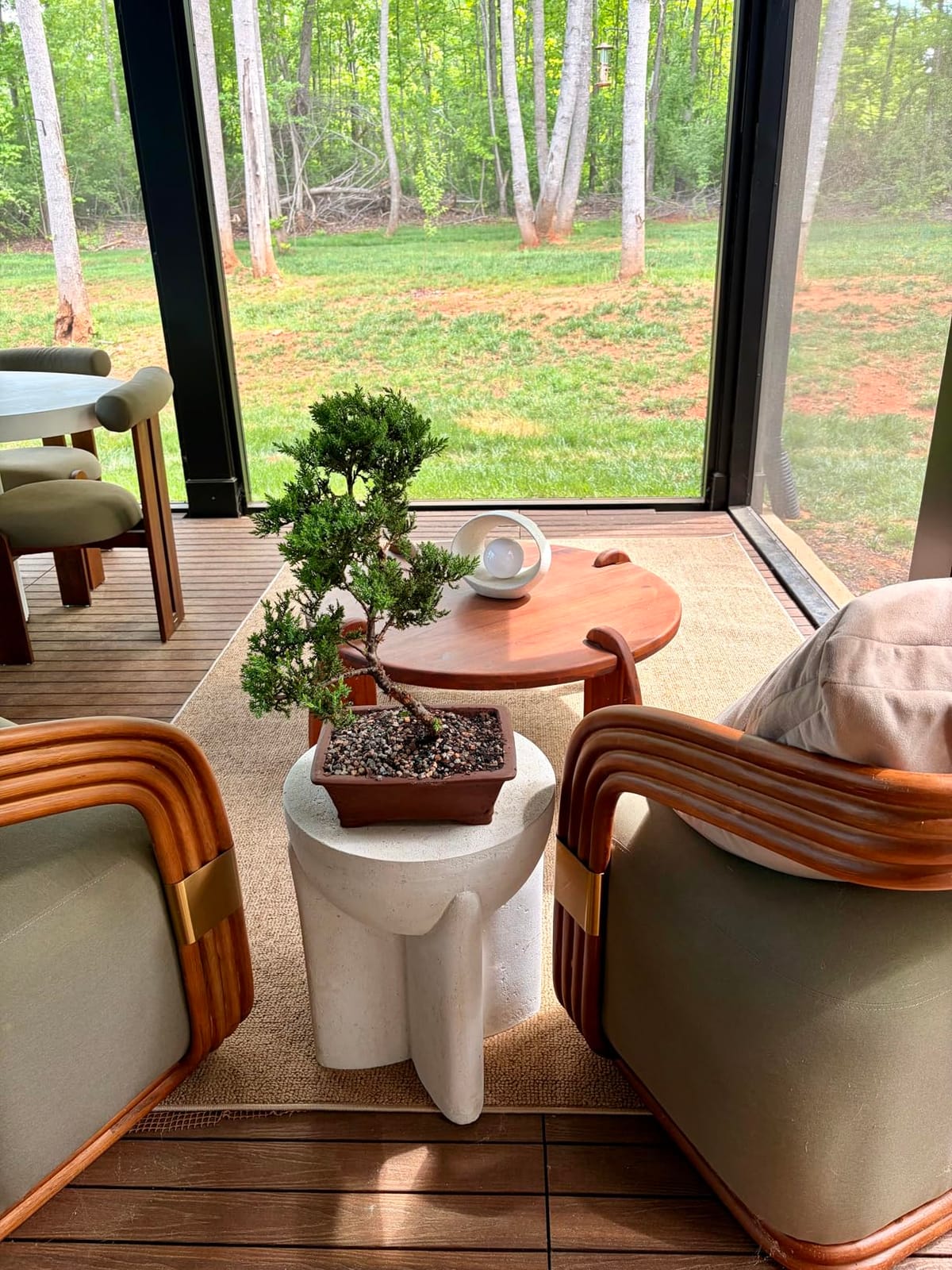 Brussel's Bonsai - Large Juniper Live Bonsai Tree | Live Bonsai Tree, Juniper, Outdoor, Easy Care, Gift Ready customer photo 2
