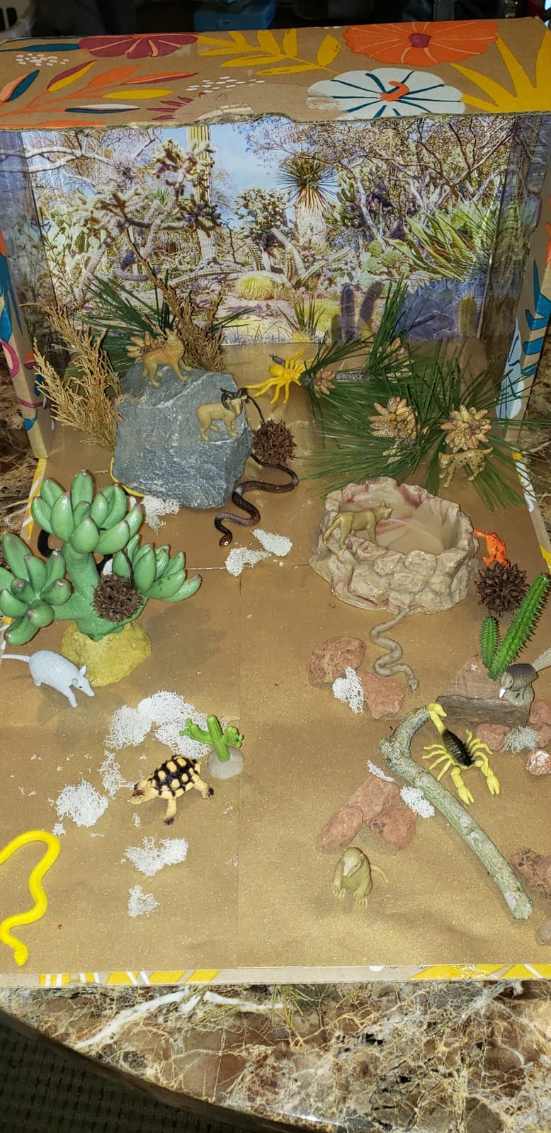 Safari Ltd. Desert TOOB - Figurines of Horned Lizard, Cactus, Road Runner, Scorpion, Rattlesnake, Coyote, Bobcat, Armadillo, Mountain Lion - Educational Toy Figures For Boys, Girls & Kids Ages 3+ customer photo 2