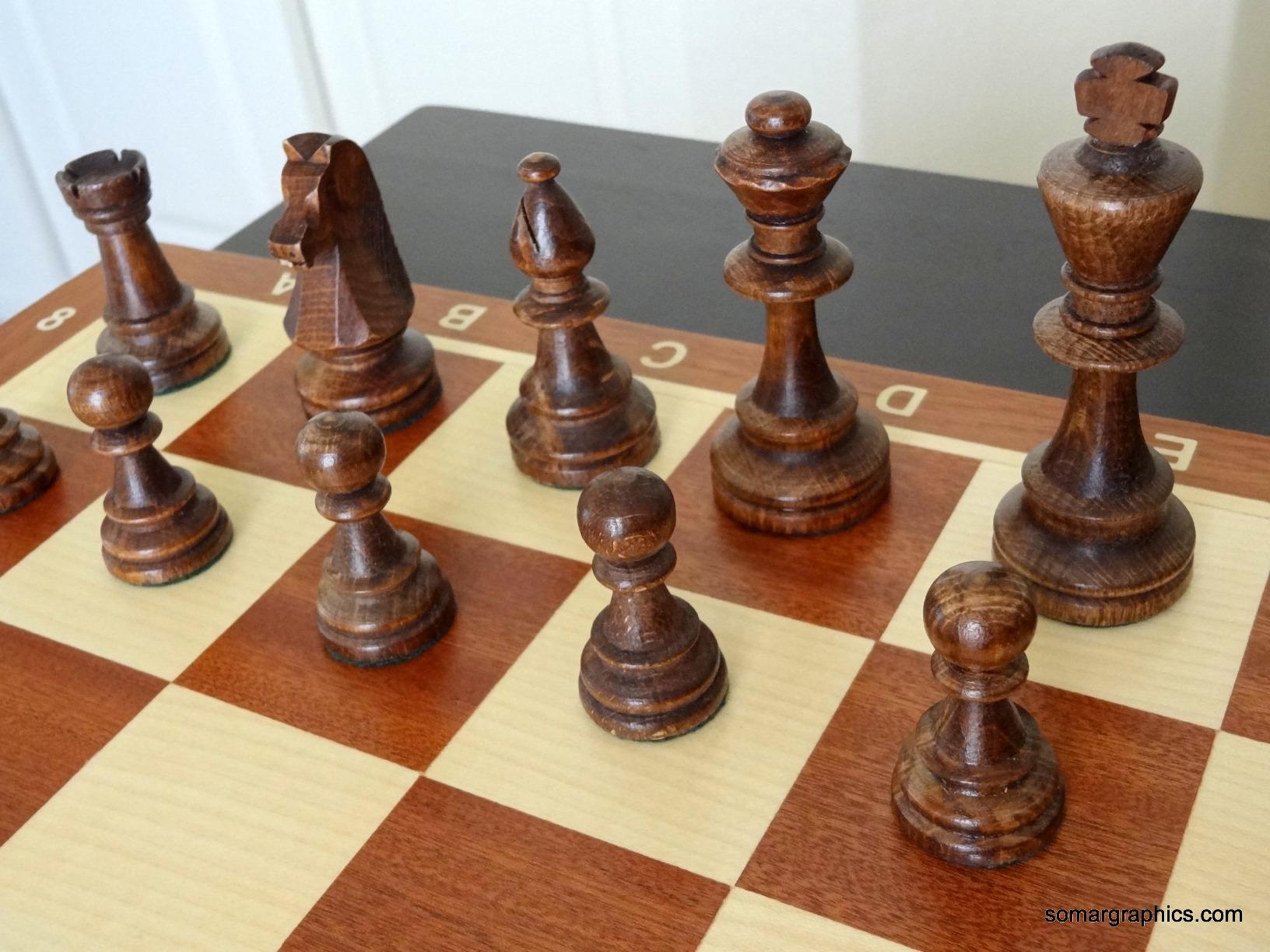 Wegiel Handmade European Professional Tournament Chess Set - Wooden 21 Inch Folding Board with Felt Base & Hand Carved Chess Pieces - Compartment Inside The Board to Store Each Piece customer photo 1