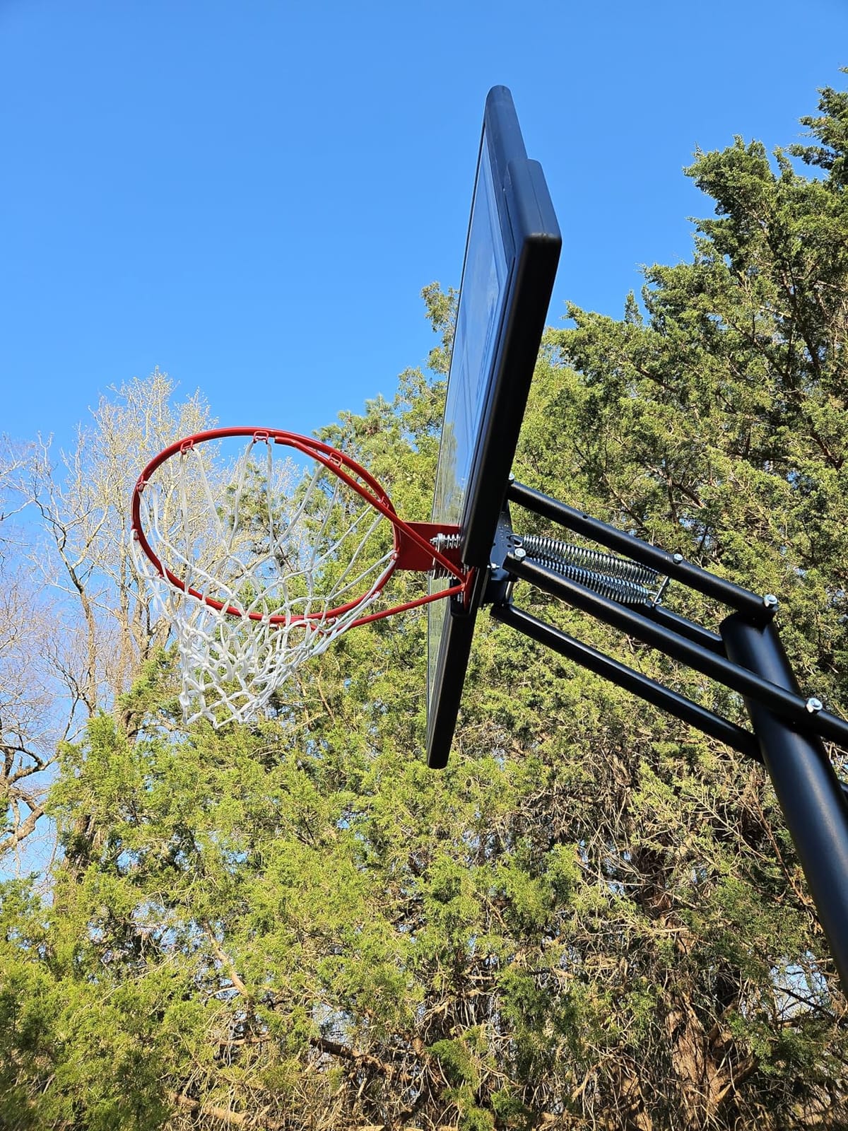 Lifetime 1084 Height Adjustable In Ground Basketball System, 50 Inch Shatterproof Backboard customer photo 2