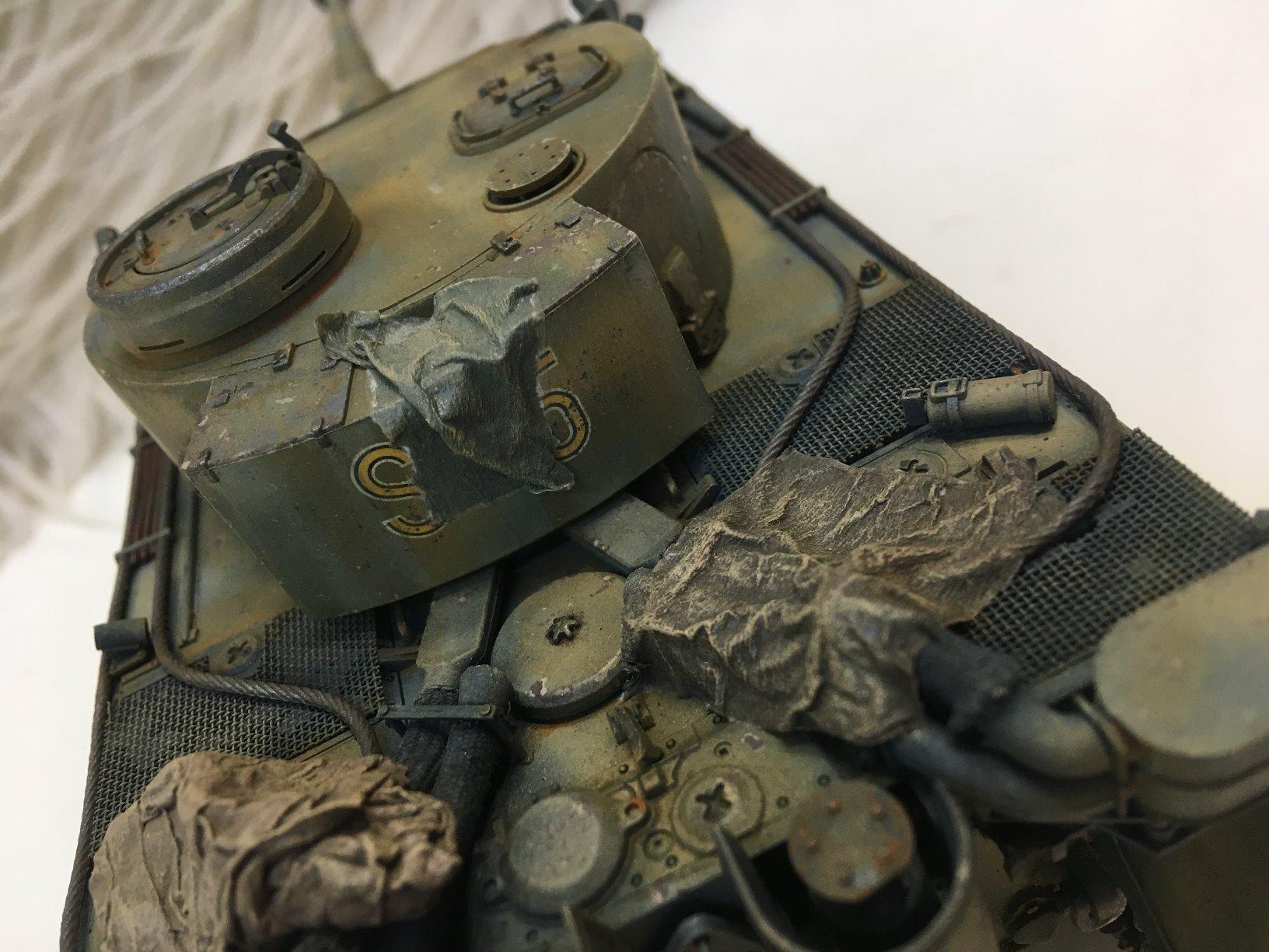 Tamiya 35216 1/35 German Tiger I Early Production Tank Plastic Model Kit customer photo 1