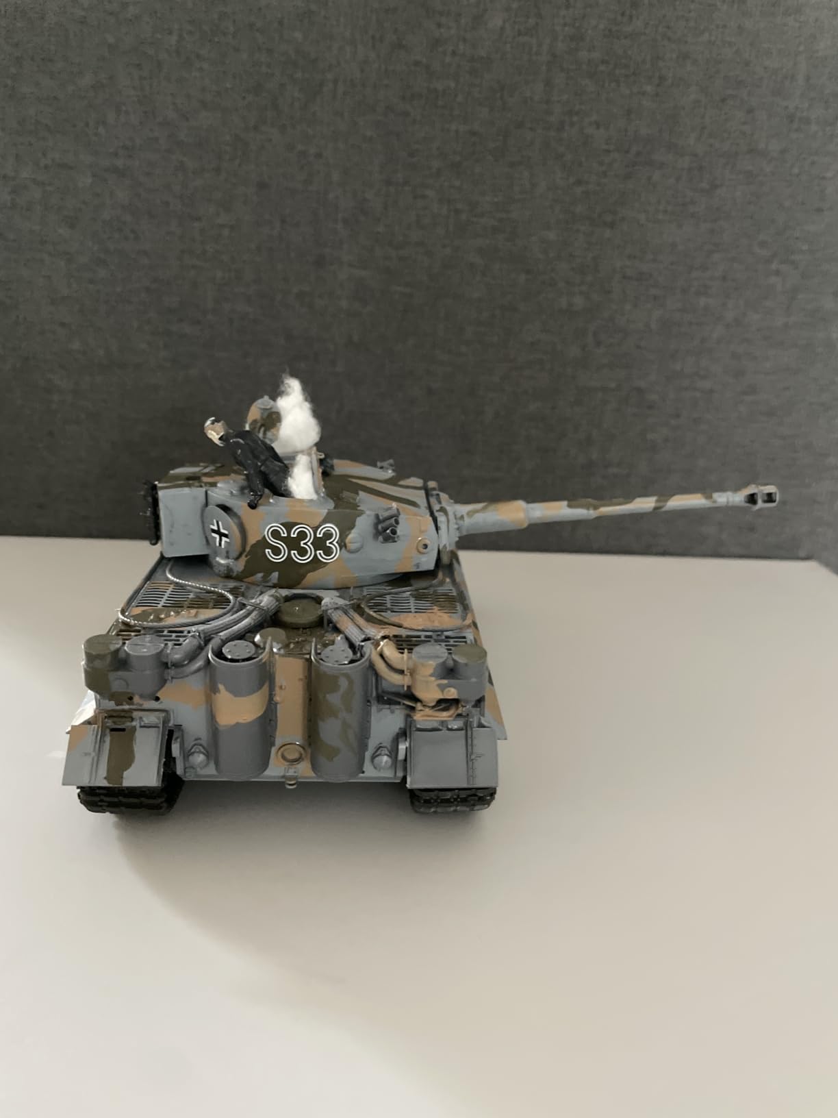 Tamiya 35216 1/35 German Tiger I Early Production Tank Plastic Model Kit customer photo 2