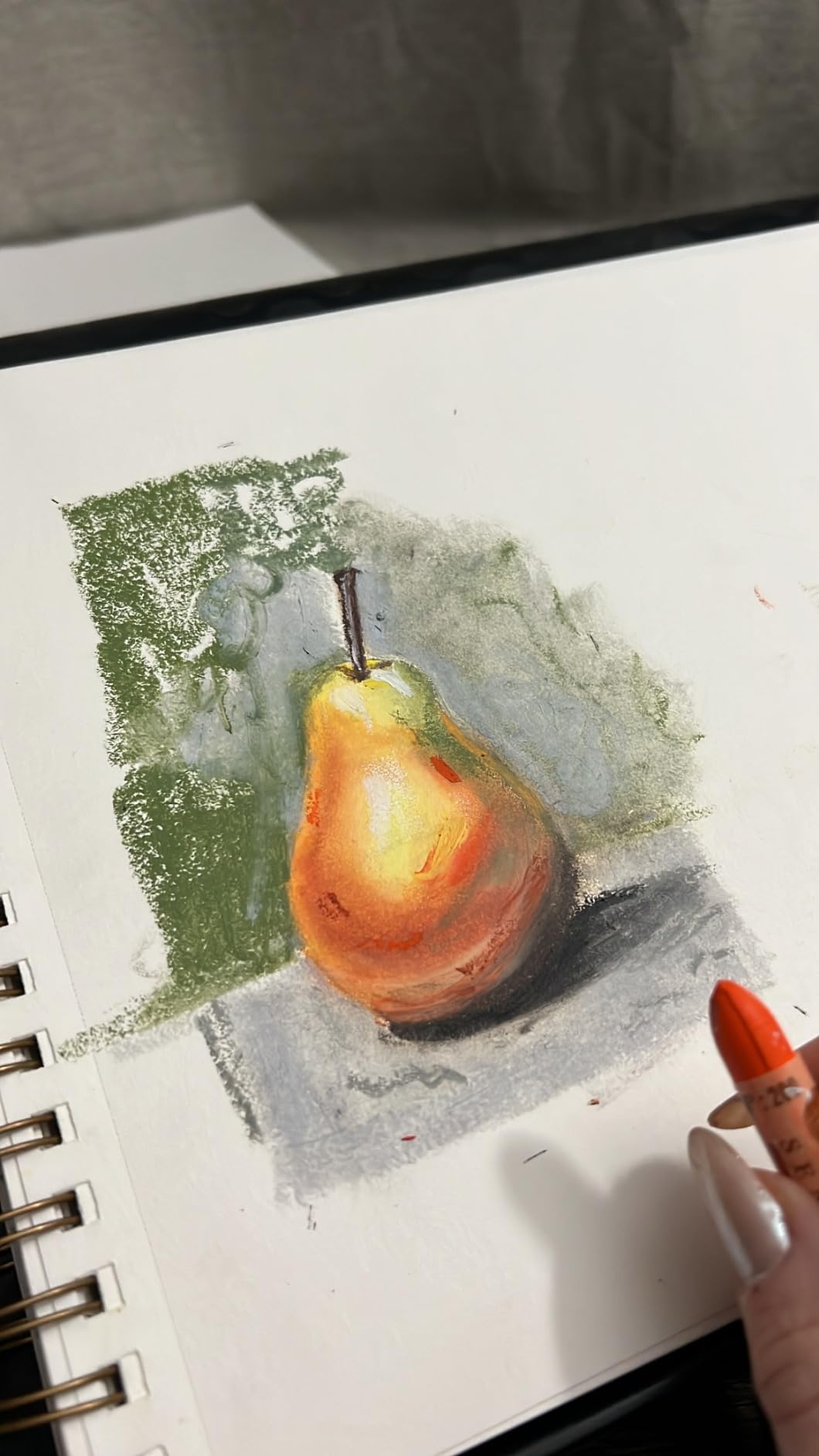SENNELIER Oil French Pastel for Professional Artists, Introductory Set of 48 customer photo 2