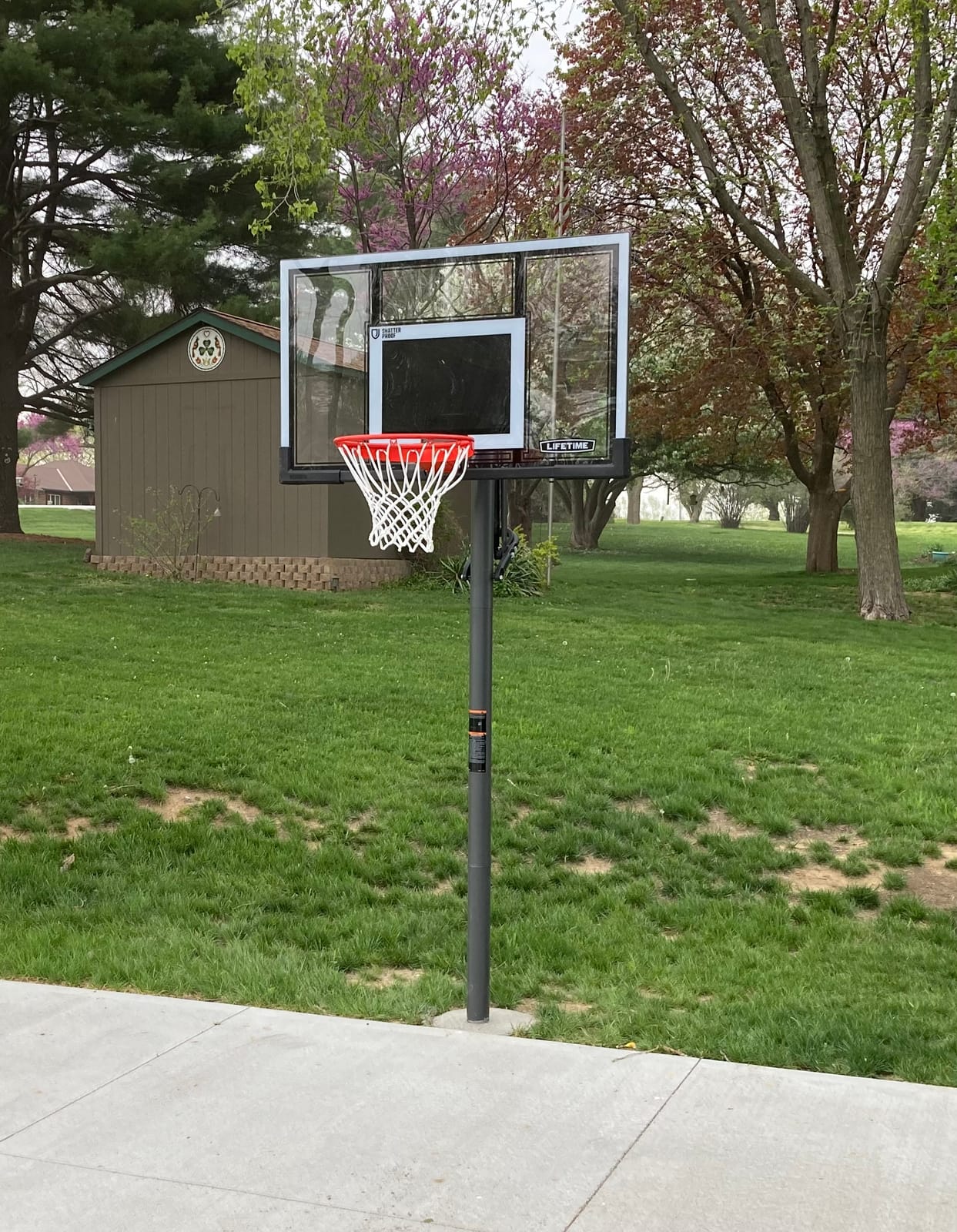 Lifetime Adjustable Basketball Hoop (54-Inch Polycarbonate) customer photo 1