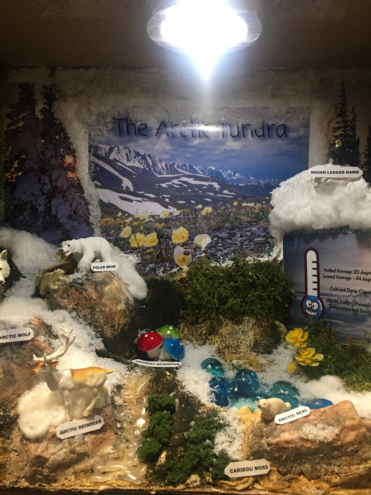 Woodland Scenics Diorama Kit, Mountain customer photo 1