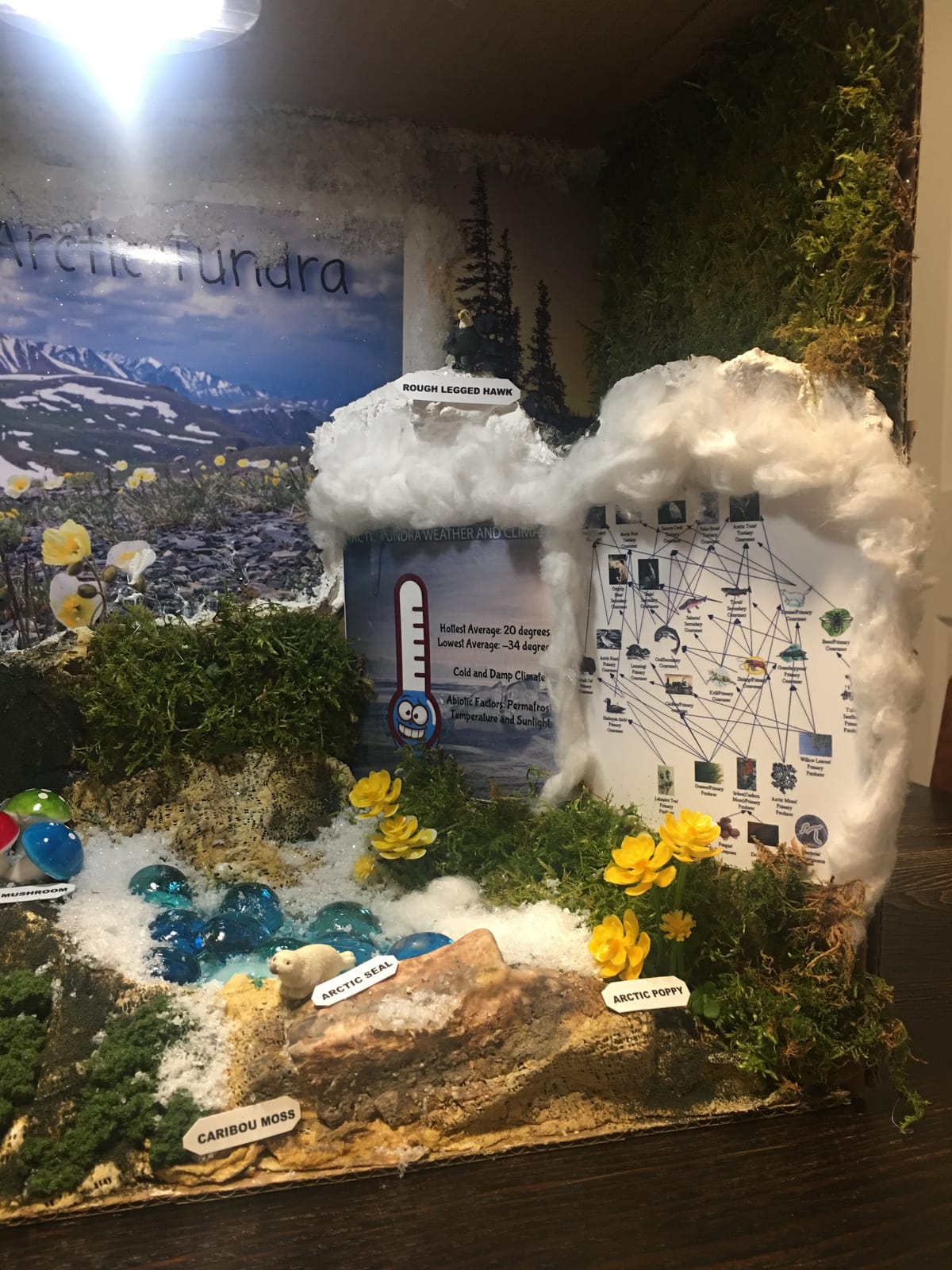 Woodland Scenics Diorama Kit, Mountain customer photo 2