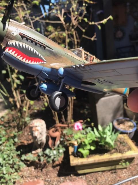 Hasegawa 1/32 P-40E Warhawk Texas Longhorn with Pilot Figure, Drop Tank and 500lb Bomb customer photo 1