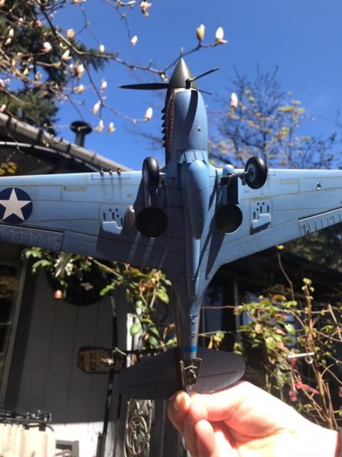 Hasegawa 1/32 P-40E Warhawk Texas Longhorn with Pilot Figure, Drop Tank and 500lb Bomb customer photo 2