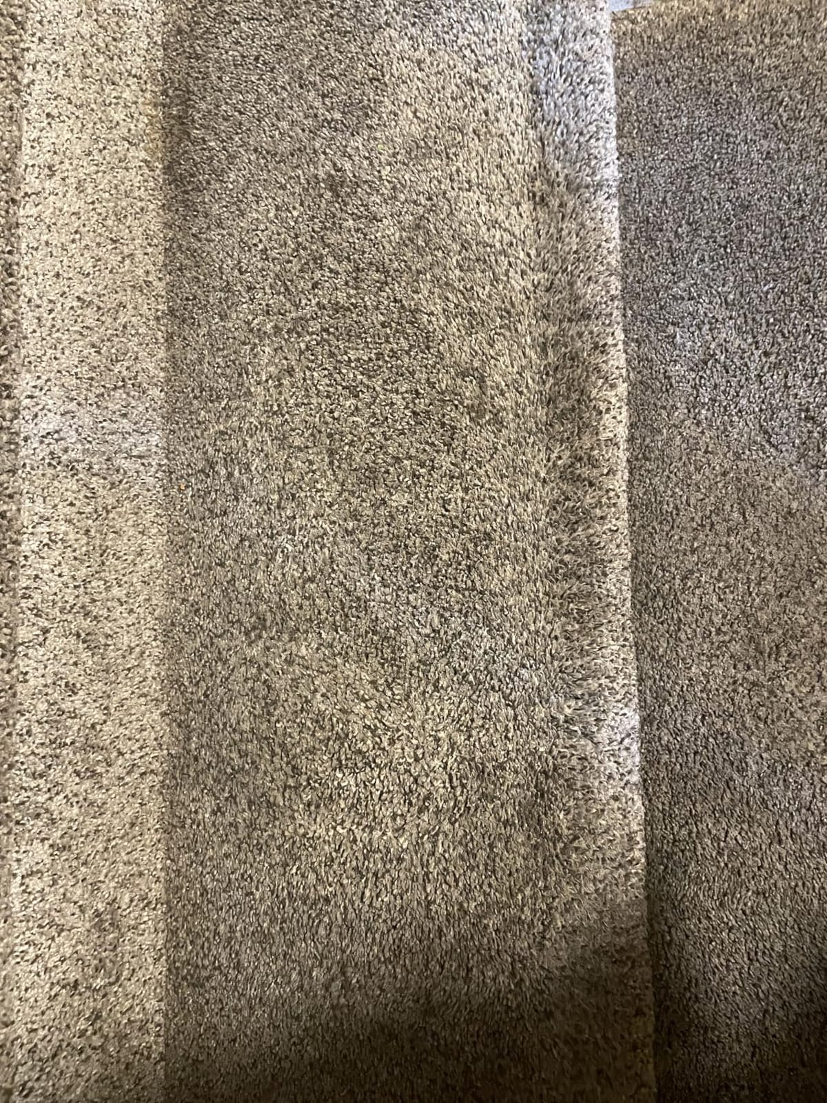 Zep All-Purpose Carpet Shampoo Concentrate Cleaner - 1 Gallon - ZUCEC128 customer photo 2