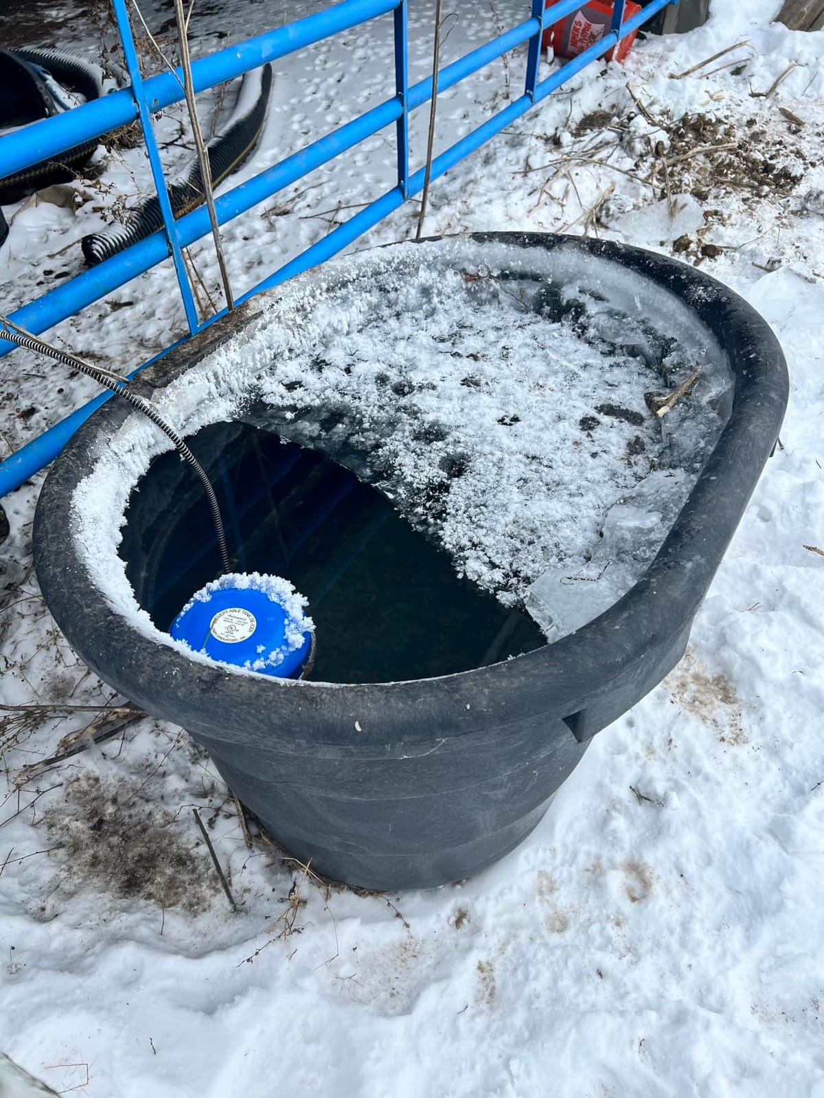 Farm Innovators H-418C Cast Aluminum 1250 Watt Convert-Able Floating and Submergible Tank De-Icer with Chew Proof Cord and Self Regulating Thermostat customer photo 1