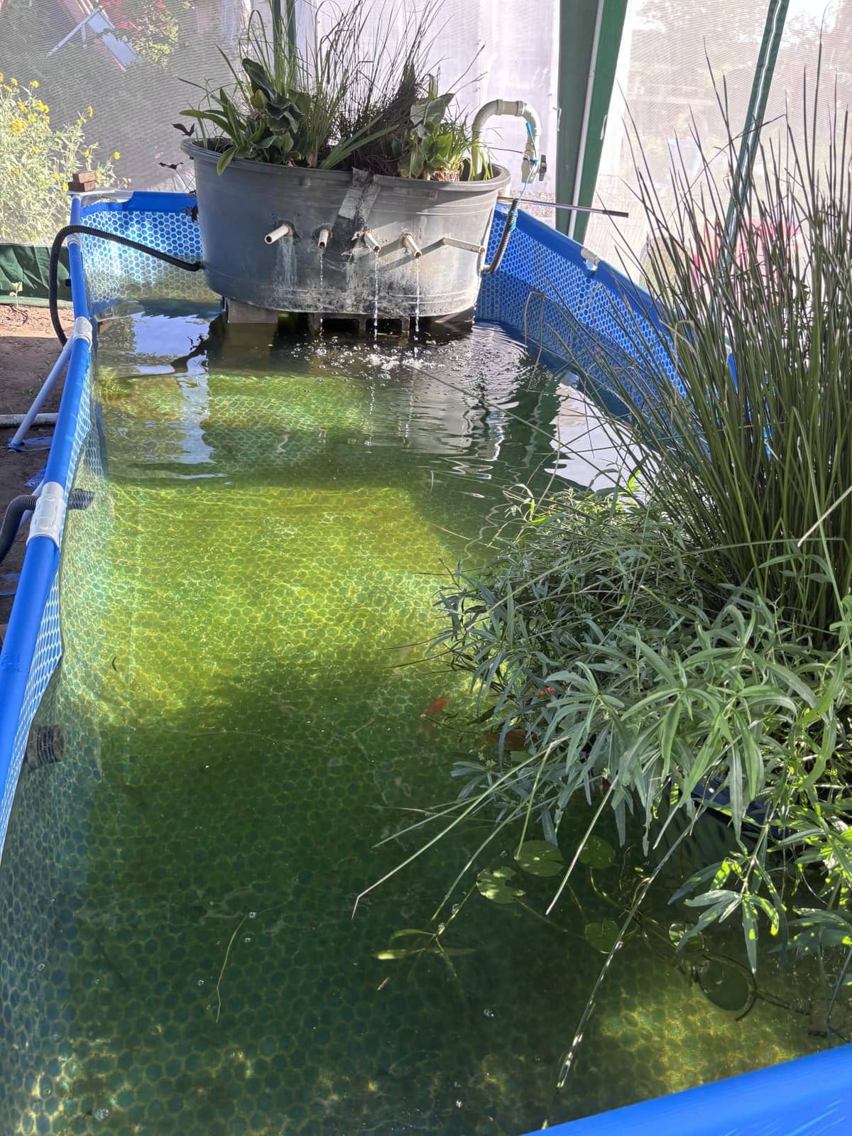INTEX Metal Frame 9ft 10in x 6ft 6.75in x 29.5in Above Ground Swimming Pool | 28272EH -Pool Only (Pump Not Included) customer photo 1
