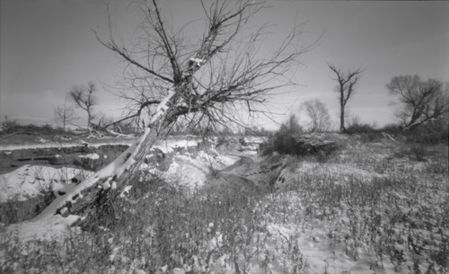 Holga 120 Wide Pinhole Camera customer photo 2