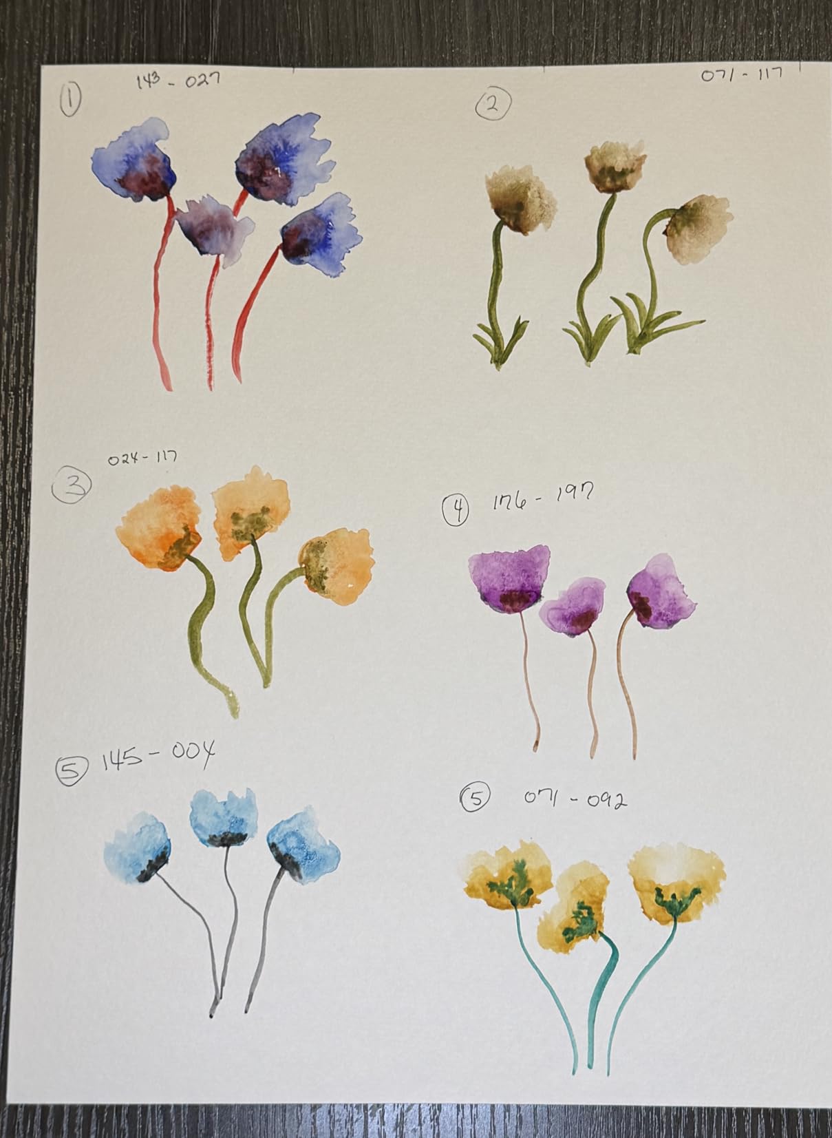 Sakura Koi Pocket Field Sketch Kit - Watercolor Sets for Painting On the Go - 24 Colors - 1 Water Brush - 1 Sponge - 1 Mixing Palette customer photo 1