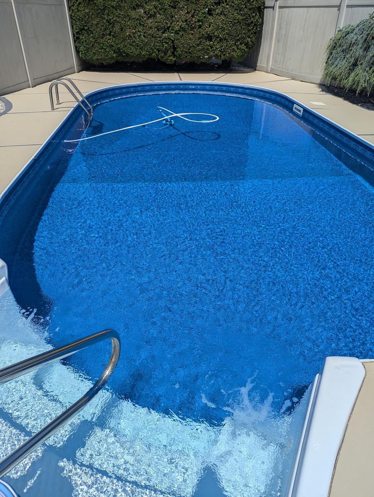 Polaris Vac-Sweep 360 Pressure-Side Cleaner for In-Ground Pools | Pressure-Side Cleaner Needs No Booster Pump; Triple Jets & a 2.25-Inch Inlet Grab Large Debris, 31ft Hose & Bag customer photo 2