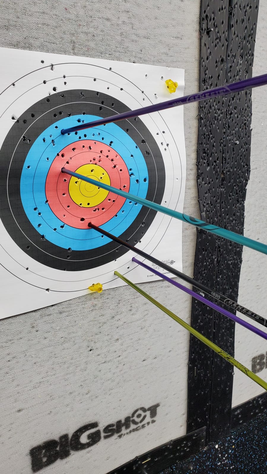 Genesis Archery Original Lightweight Compound Bow with Adjustable Aluminum Riser, 15-30 Draw Length, 10-20 lb Draw Weight, for Kids and Adults, All Skill Levels customer photo 2