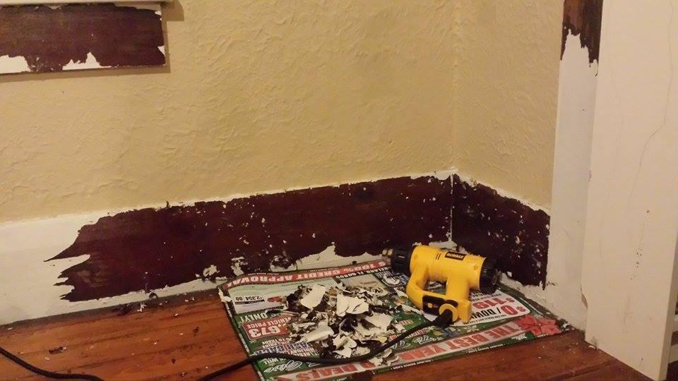 DEWALT Heat Gun (D26950), Yellow customer photo 2