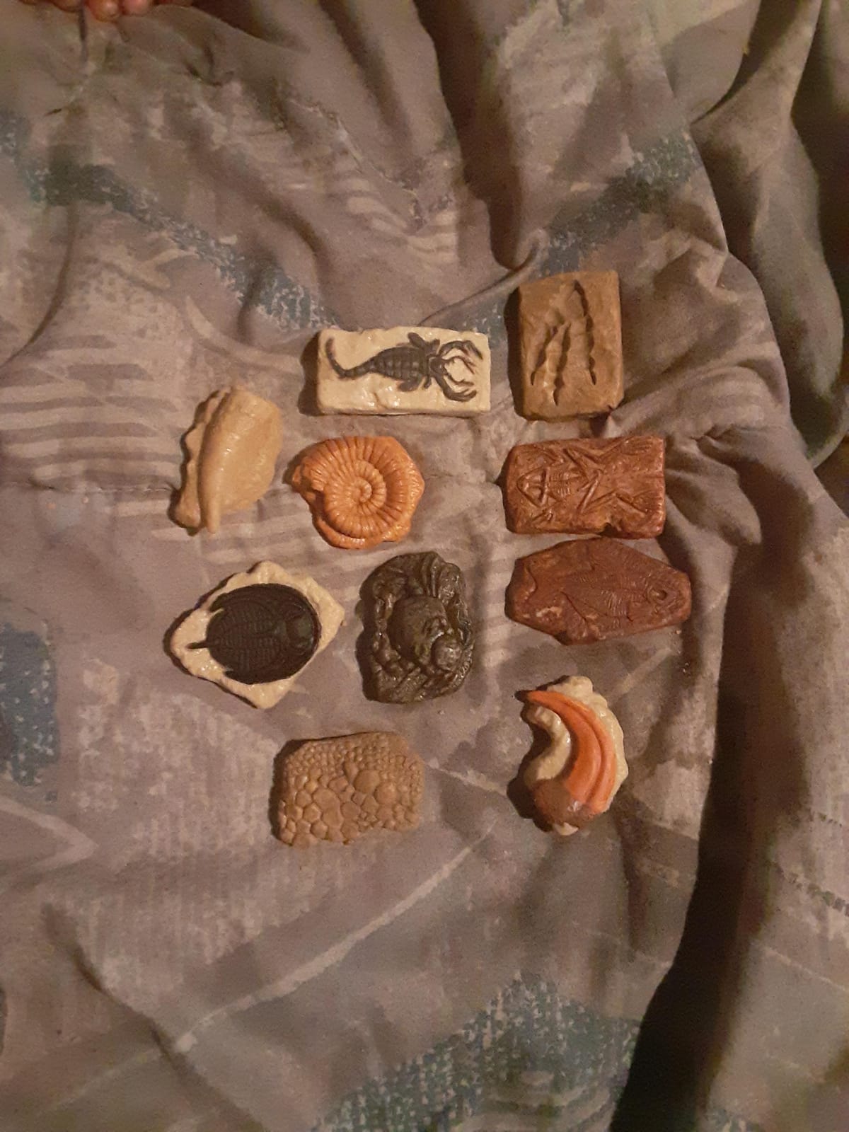 Safari Ltd. Ancient Fossils TOOB - Figurines: Dino Footprint, Giant Crab, Ammonite, Raptor Claw, T-Rex Tooth, Frog Skeleton, Sea Scorpion & More - Educational Toys for Boys, Girls & Kids Ages 3+ customer photo 1