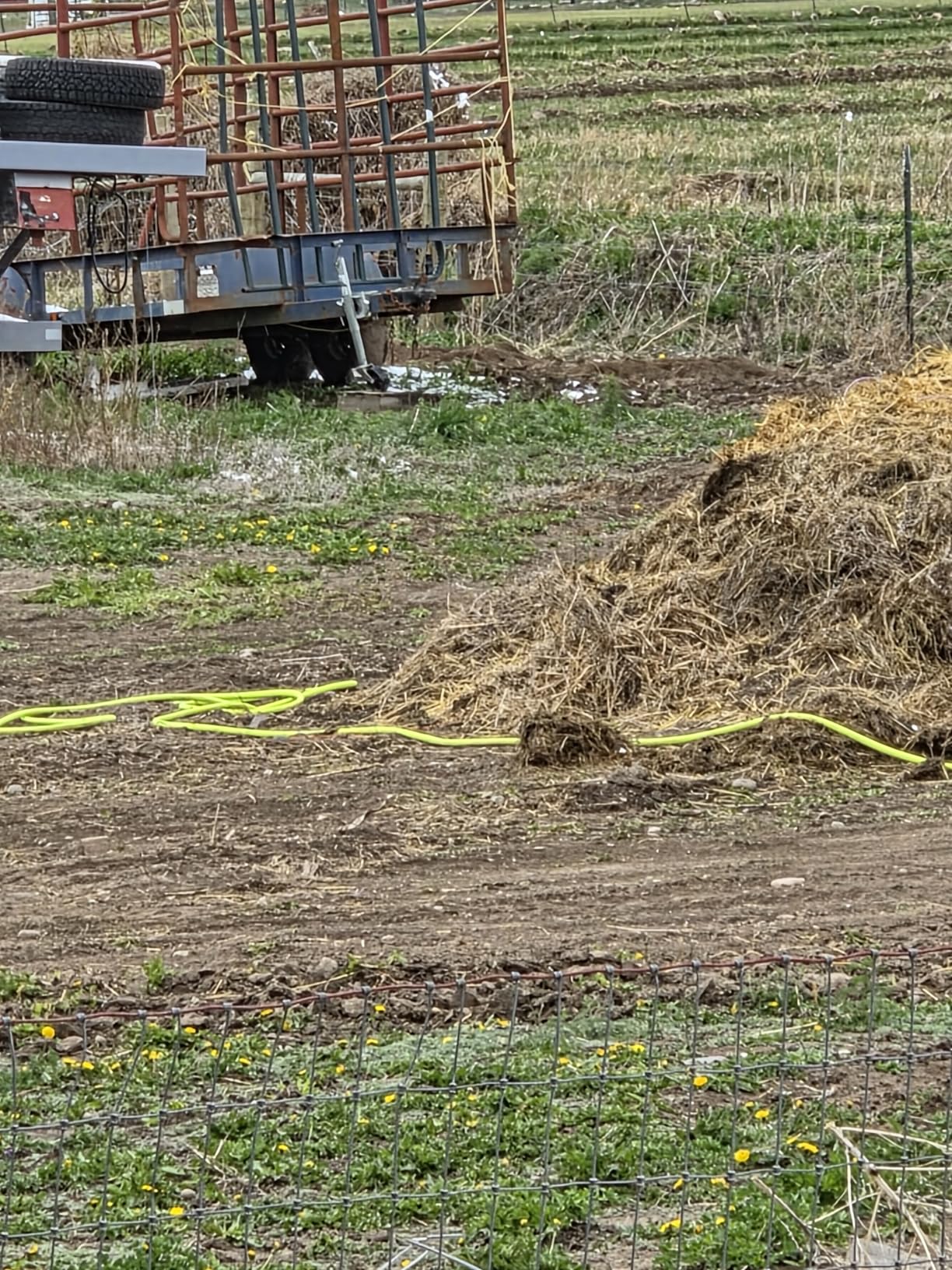 Flexzilla Garden Hose 5/8 in. x 50 ft., Lightweight All-Weather Water Hose, Durable and Flexible, Leak-Free Connections customer photo 1
