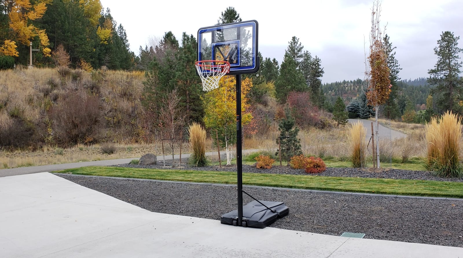 Lifetime Portable Basketball Hoop System - 44 in Adjustable Backboard customer photo 1