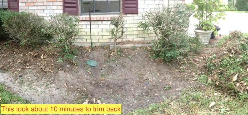 BLACK+DECKER 20V MAX Pole Hedge Trimmer Cordless with Battery and Charger, 18-Inch Dual Action Blade Power Hedge Trimmer, Extended Long Reach Hedger Up to 11 Ft, 180 Degrees Pivoting Head (LPHT120) customer photo 2