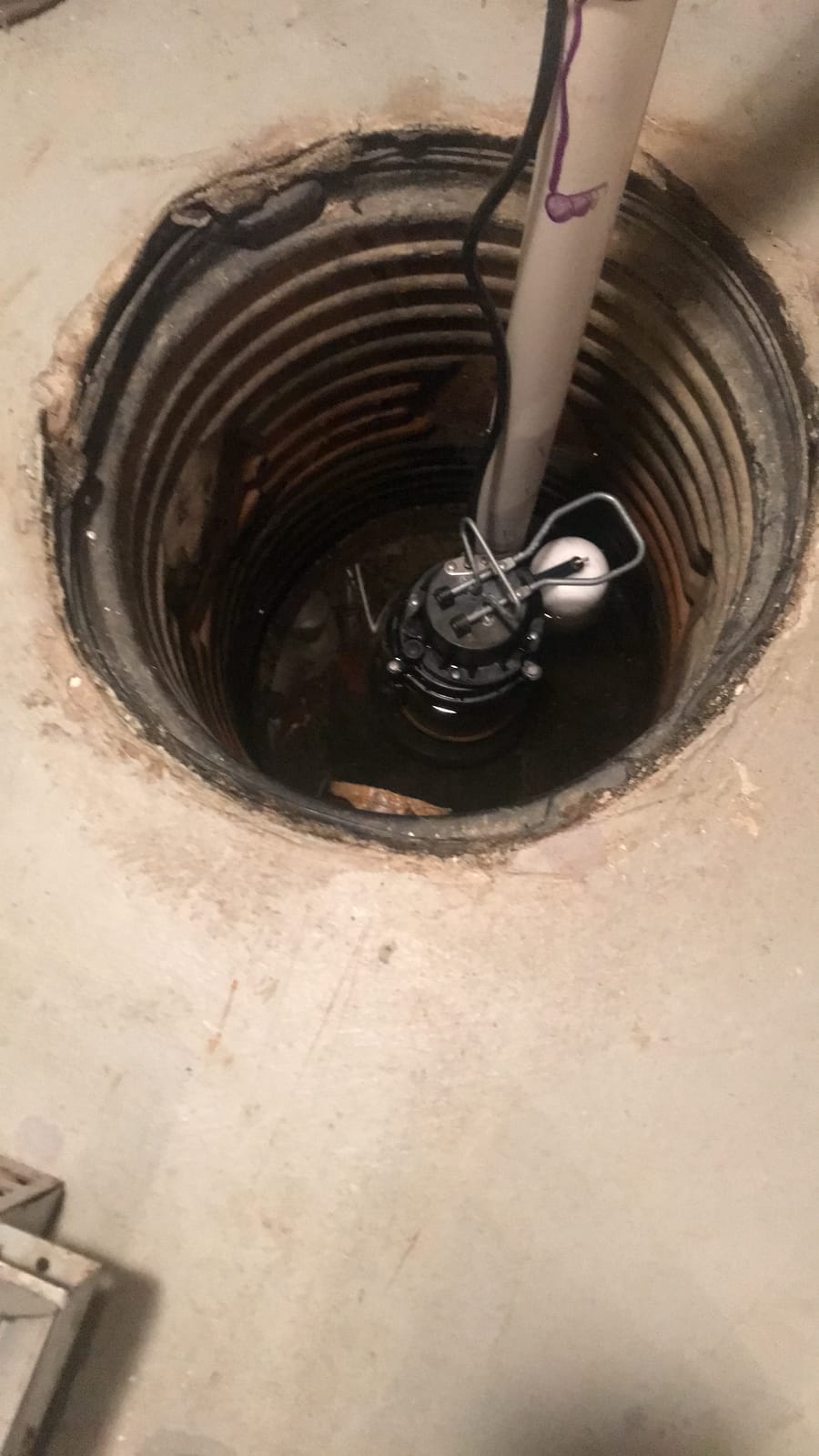 WAYNE CDU980E 3/4 HP Submersible Sump Pump, Cast Iron & Stainless Steel, Vertical Float Switch, 5,490 GPH, 5-Year Warranty customer photo 1