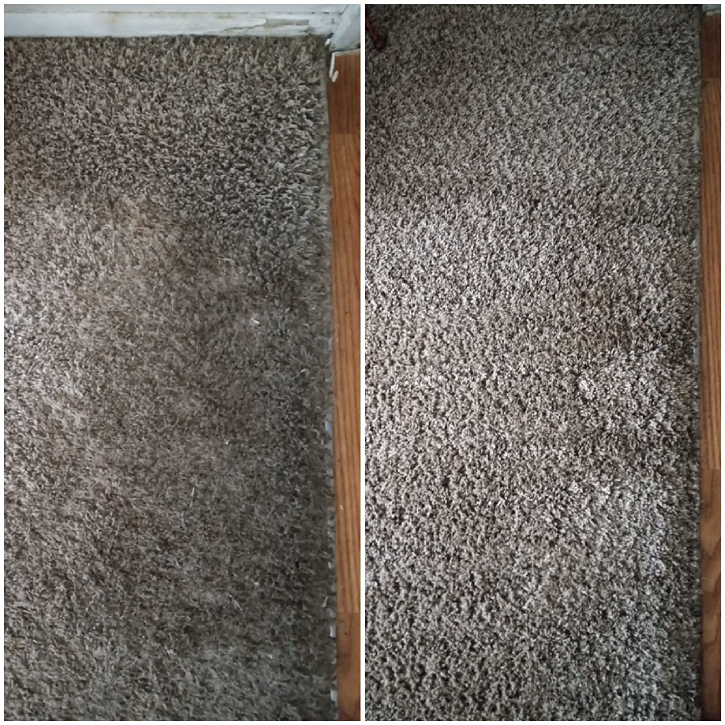 Resolve Carpet Cleaner Spray, Stain & Spot Remover for Carpet, 32 Fl Oz | Professional Strength stain remover spray and carpet spot cleaner for carpets, rugs, and compatible upholstery customer photo 1