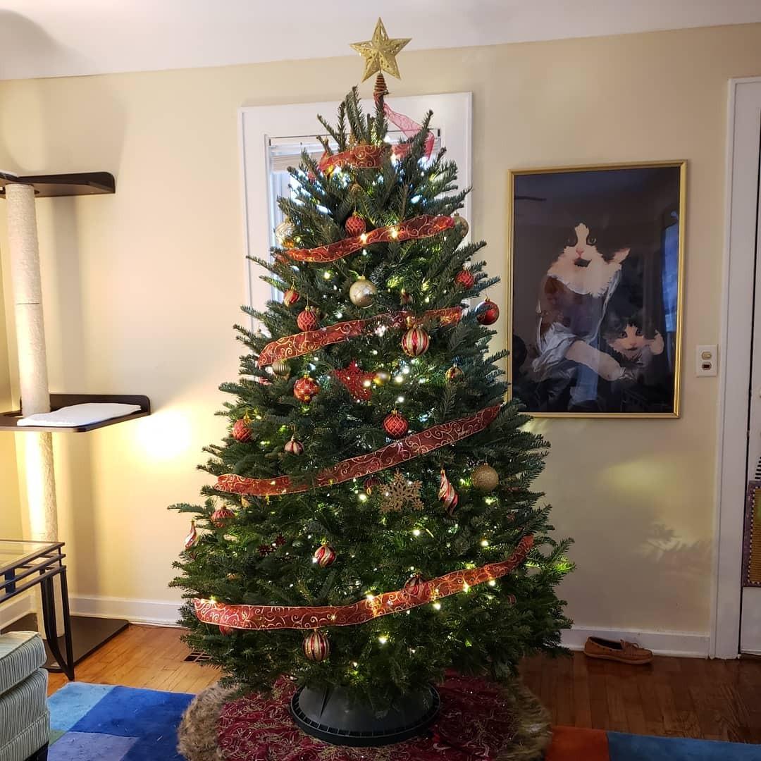 C148E Stand Express Tree with Ratcheting Fastener System, 10-Foot customer photo 1