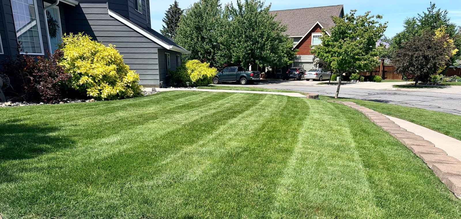 EGO AR2100 21inch Mower Striping Kit for EGO 21inch Walk Behind Mowers customer photo 2