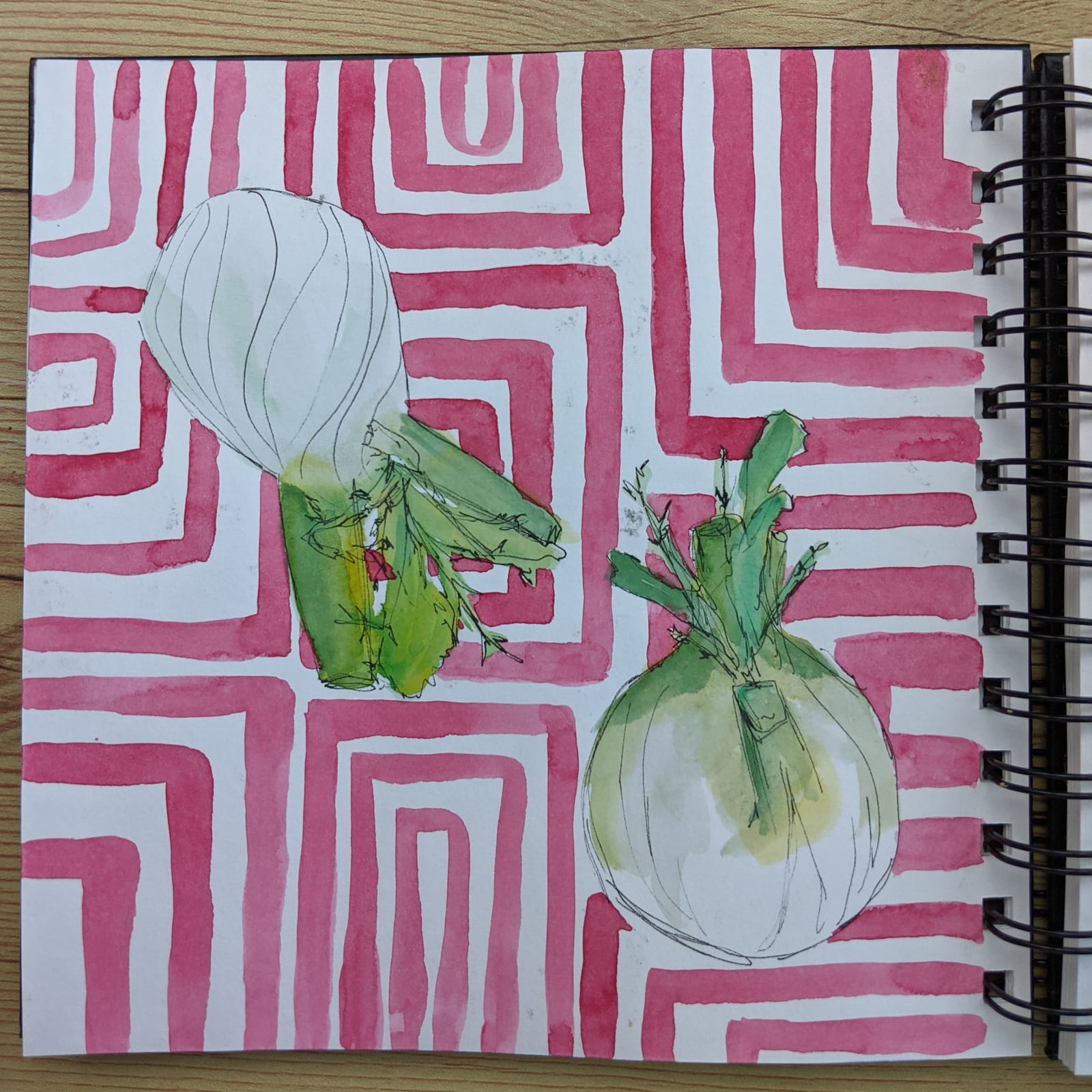 Stillman & Birn Beta Series Wirebound Sketchbook, 6x8, 270 gsm (Extra Heavyweight), White Paper, Cold Press Surface customer photo 1
