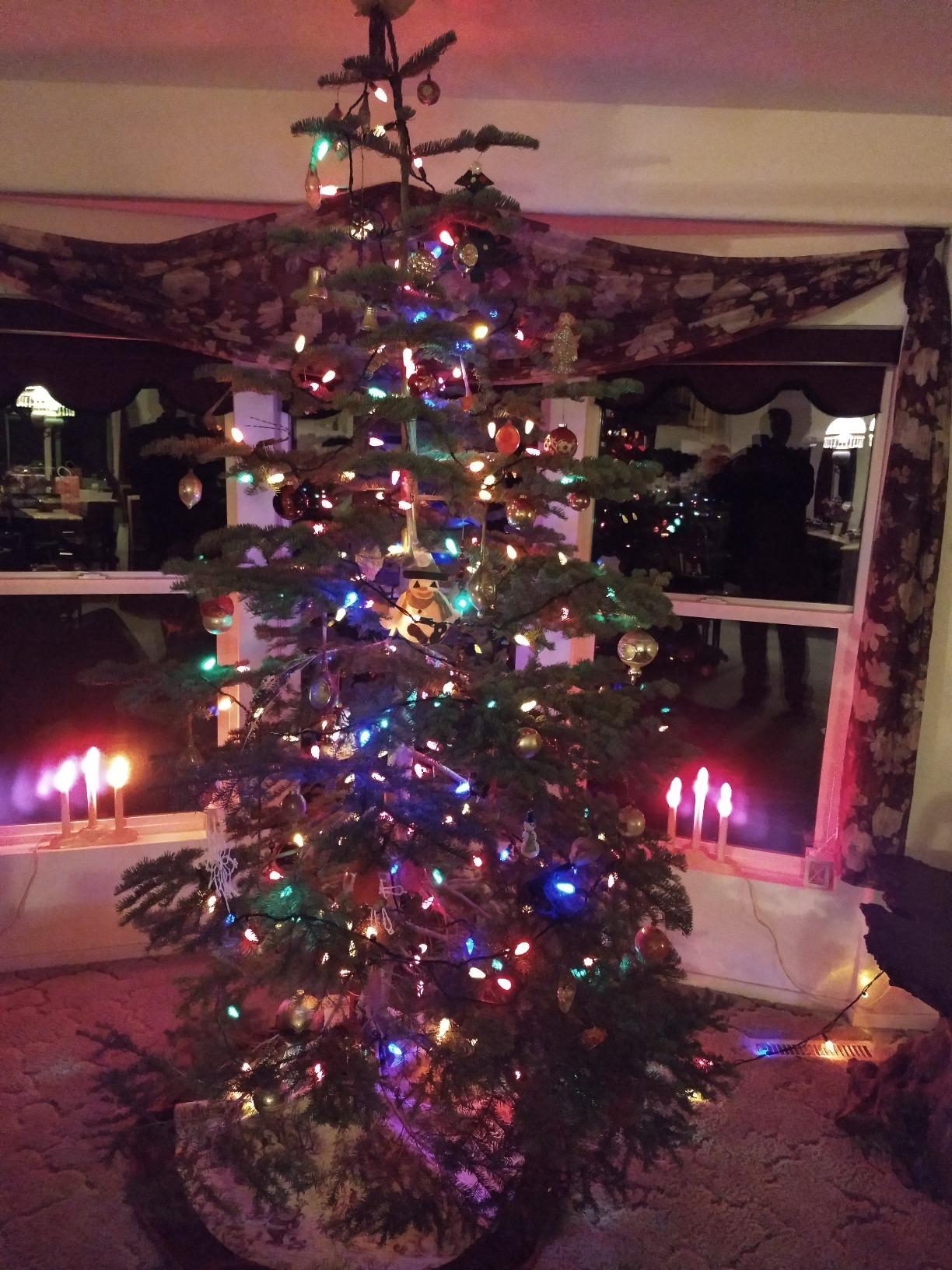 CINCO EXPRESS C-152E 8' Christmas tree stand customer photo 1