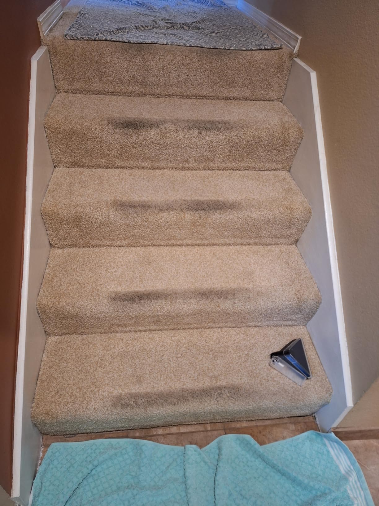 Hoover PowerScrub Deluxe Carpet Cleaner Machine, Pet & Upholstery Tools | Deep Cleaning Carpet Shampooer Machine, SpinScrub Brushes, HeatForce Drying, Pair with Hoover Carpet Cleaner Solution customer photo 1
