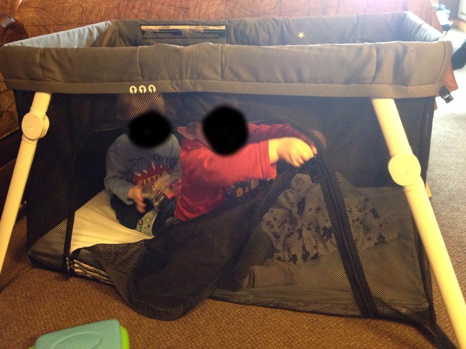 Guava Family Travel Crib - Lightweight Backpack Design, Certified Baby Safe Portable Crib, Folding Play Yard customer photo 1