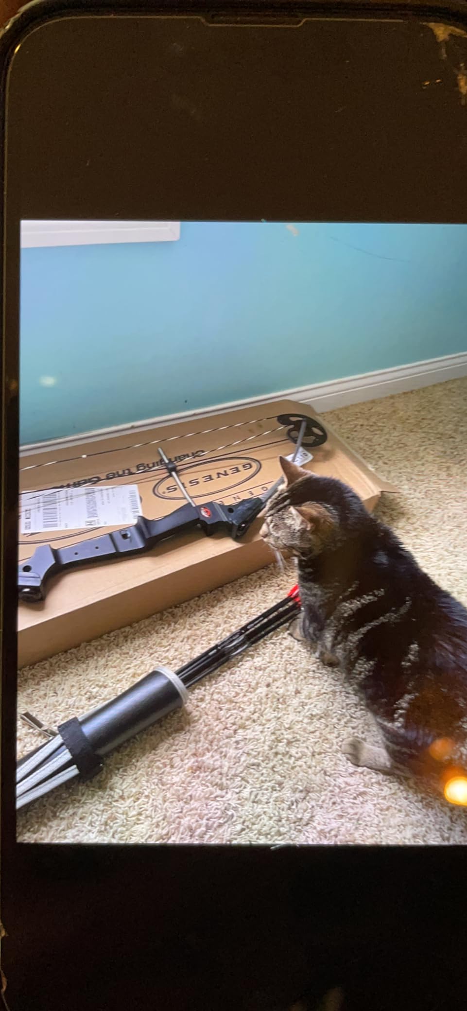 GENESIS Original Compound Bow & Arrow Kit- Adjustable Riser Draw Length, 10-20 lb Draw Weight, All Skill Levels, Draw Hand customer photo 1