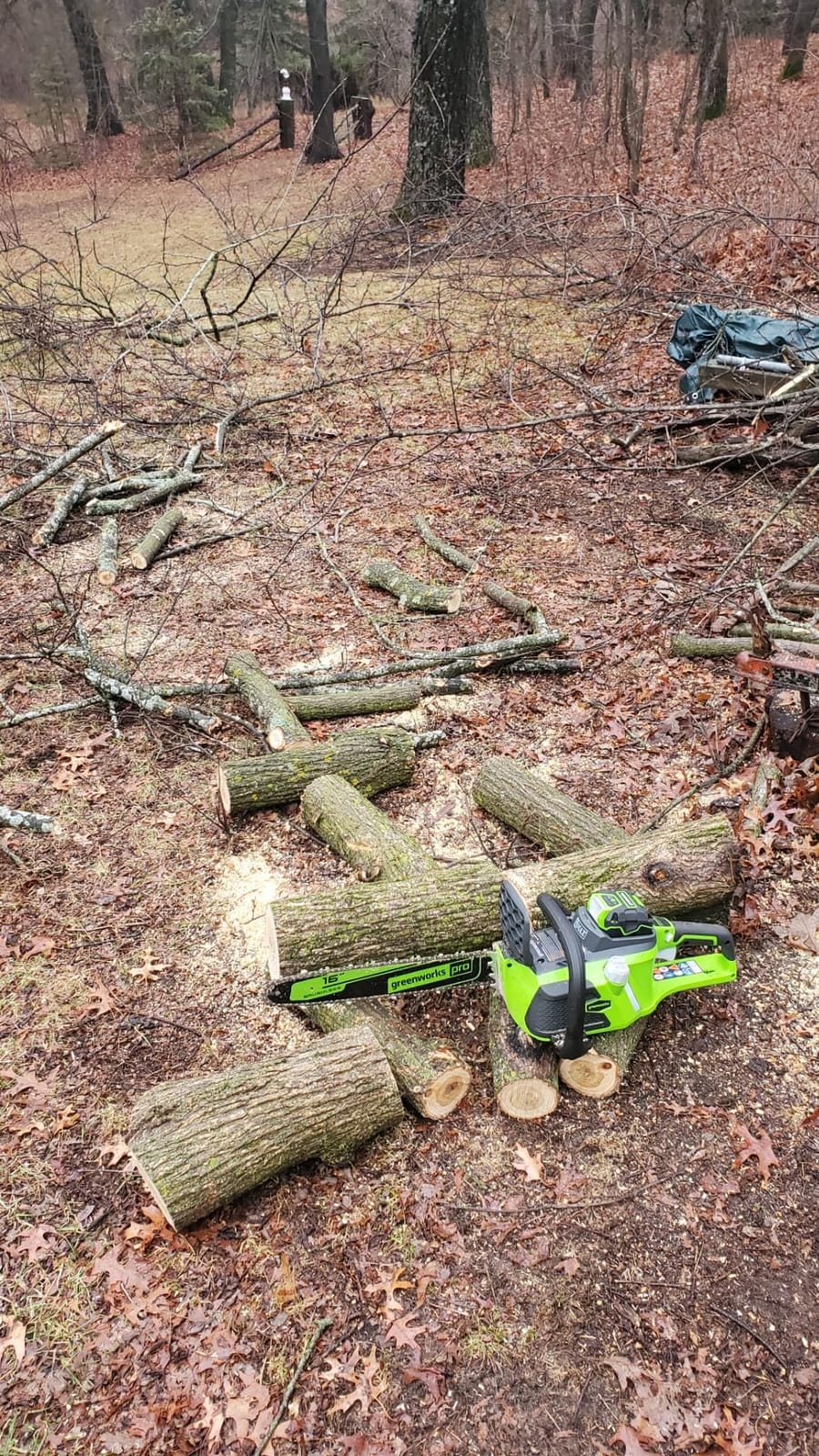 Greenworks 40V 16