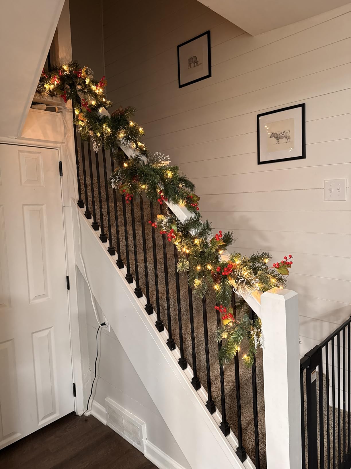 National Tree Company 9 ft Pre-Lit Wintry Pine Flocked Artificial Christmas Garland, Christmas Decoration with Pinecones, Red Berries, 100 Clear Lights, 184 Tips, Green customer photo 1