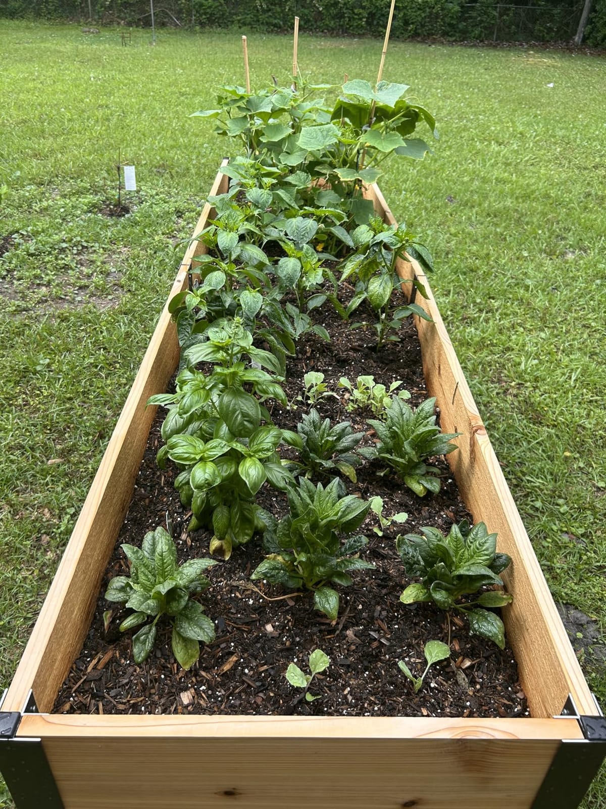Gardener's Supply Company Elevated Cedar Raised Garden Bed 2' x 8' customer photo 1