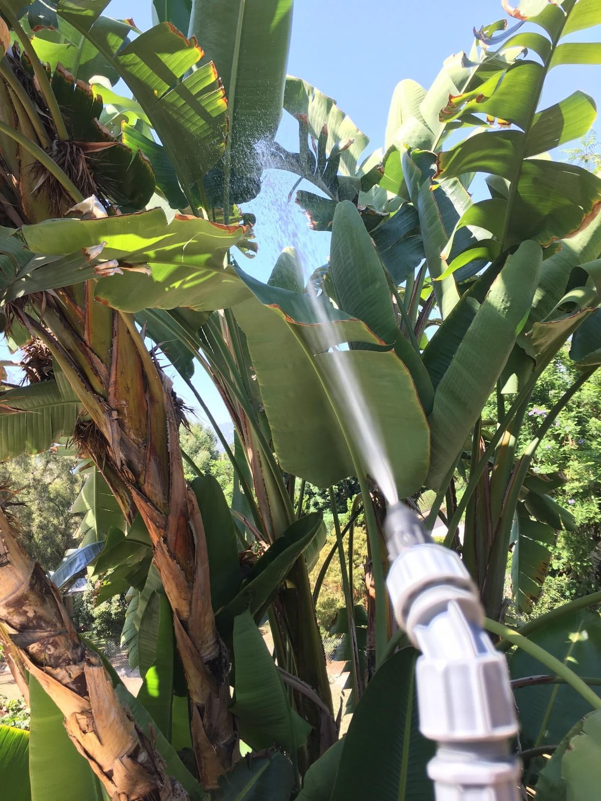 Roundup 190314 Backpack Sprayer for Fertilizers, Herbicides, Weed Killers & Insecticides, 4 Gallon customer photo 2