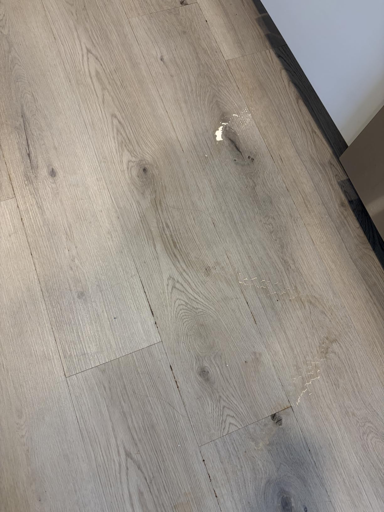 method Hardwood Floor Cleaner, Squirt + Mop Design, Almond, 25 fl oz customer photo 2