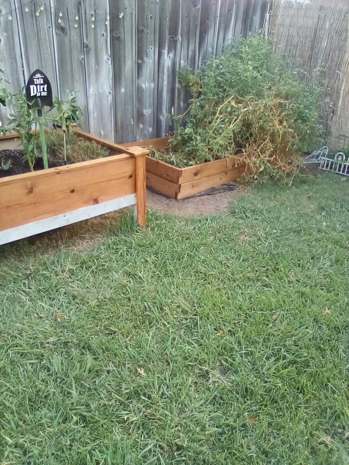 Infinite Cedar Premium Cedar Raised Garden Bed - 3' x 6' x 11