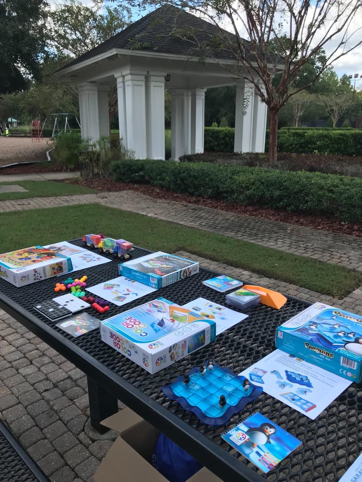 SmartGames Quadrillion: Magnetic Logic Puzzle Game for All Ages 7+ | Sturdy magnetic brain teaser. 80 challenges. Builds spatial logic, focus, and cognitive health for children and adults. customer photo 1