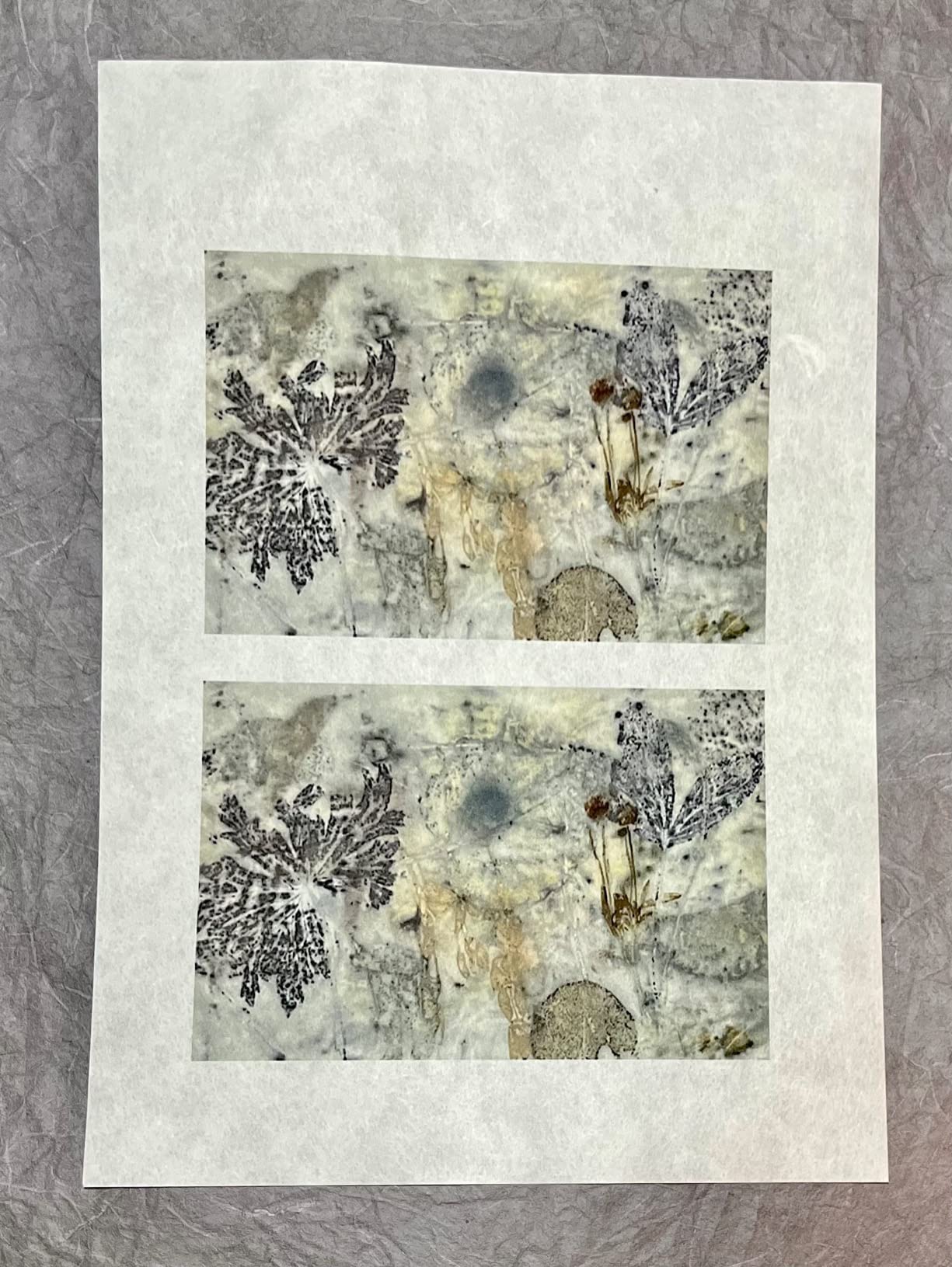 Awagami Murakumo Kozo Select Natural Fine Art Inkjet Paper, 42gsm A4 (8.27