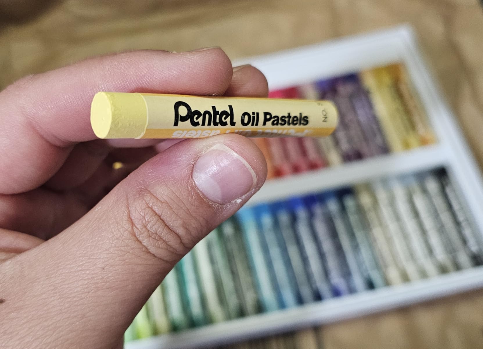 Pentel Oil Pastels - 50 Color Set (PHN-50) customer photo 2