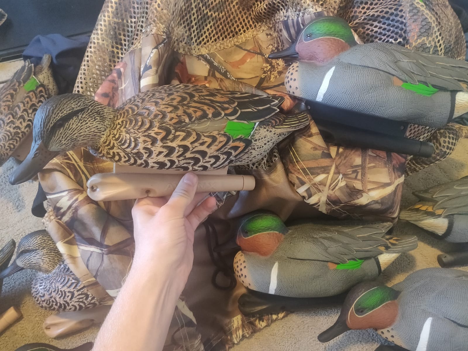 Avian X Topflight Green-Winged Teal Decoys, Realistic Floating Duck Decoys for Hunting, Weight-Forward Swim Keel, Set of 6 customer photo 2