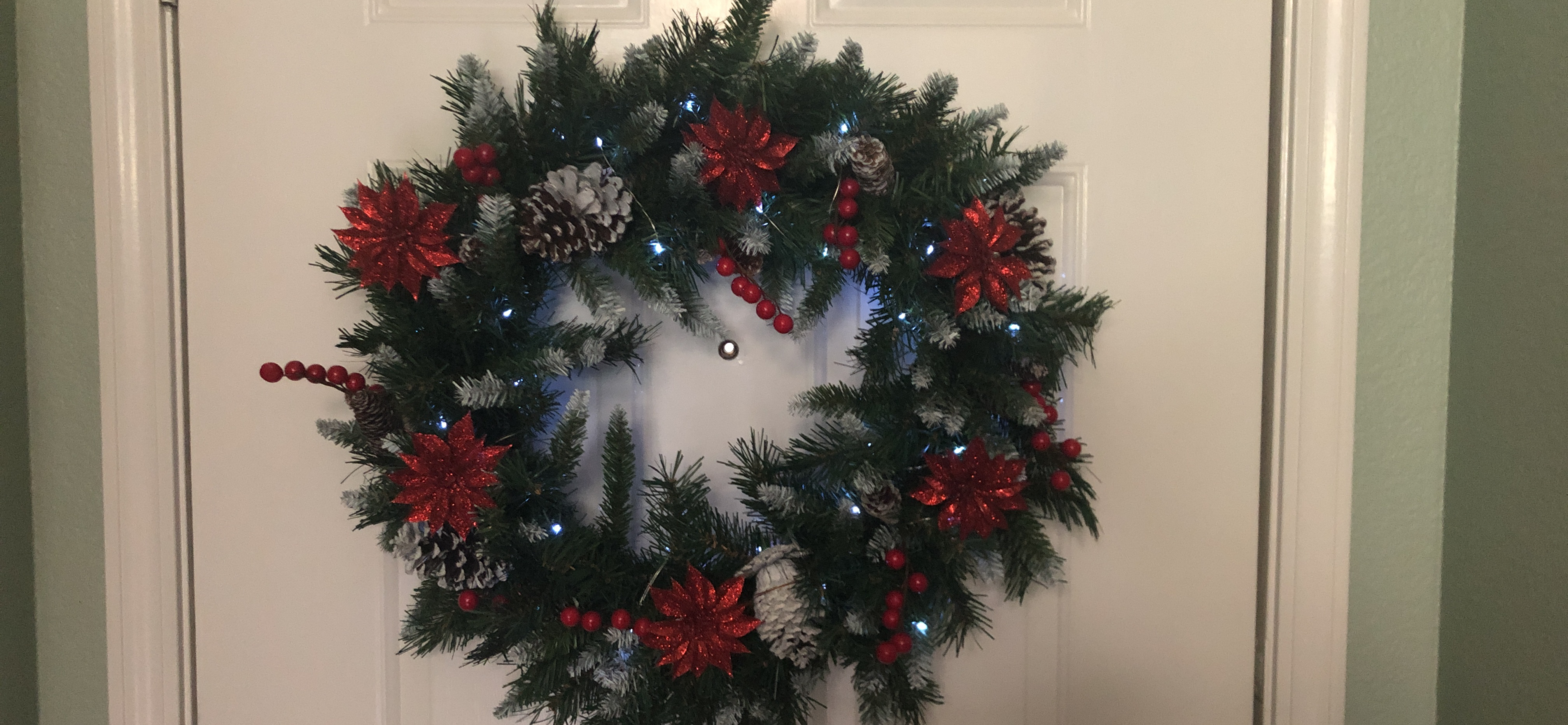 National Tree Company 24in Unlit Frosted Berry Artificial Christmas Wreath | 180 Tips, Pinecones, Green customer photo 1