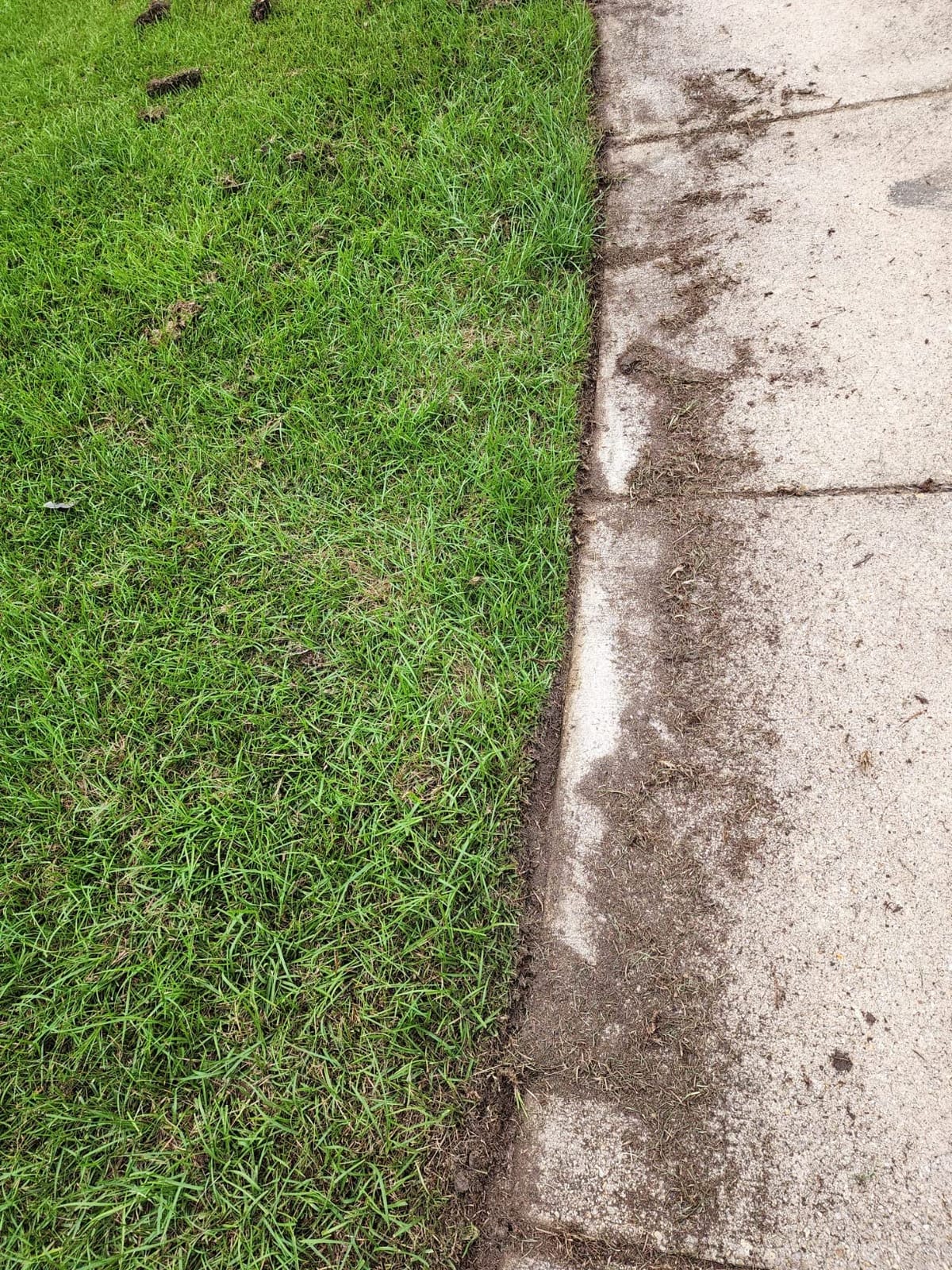 WORX Electric Lawn Edger, 12 Amp 7.5