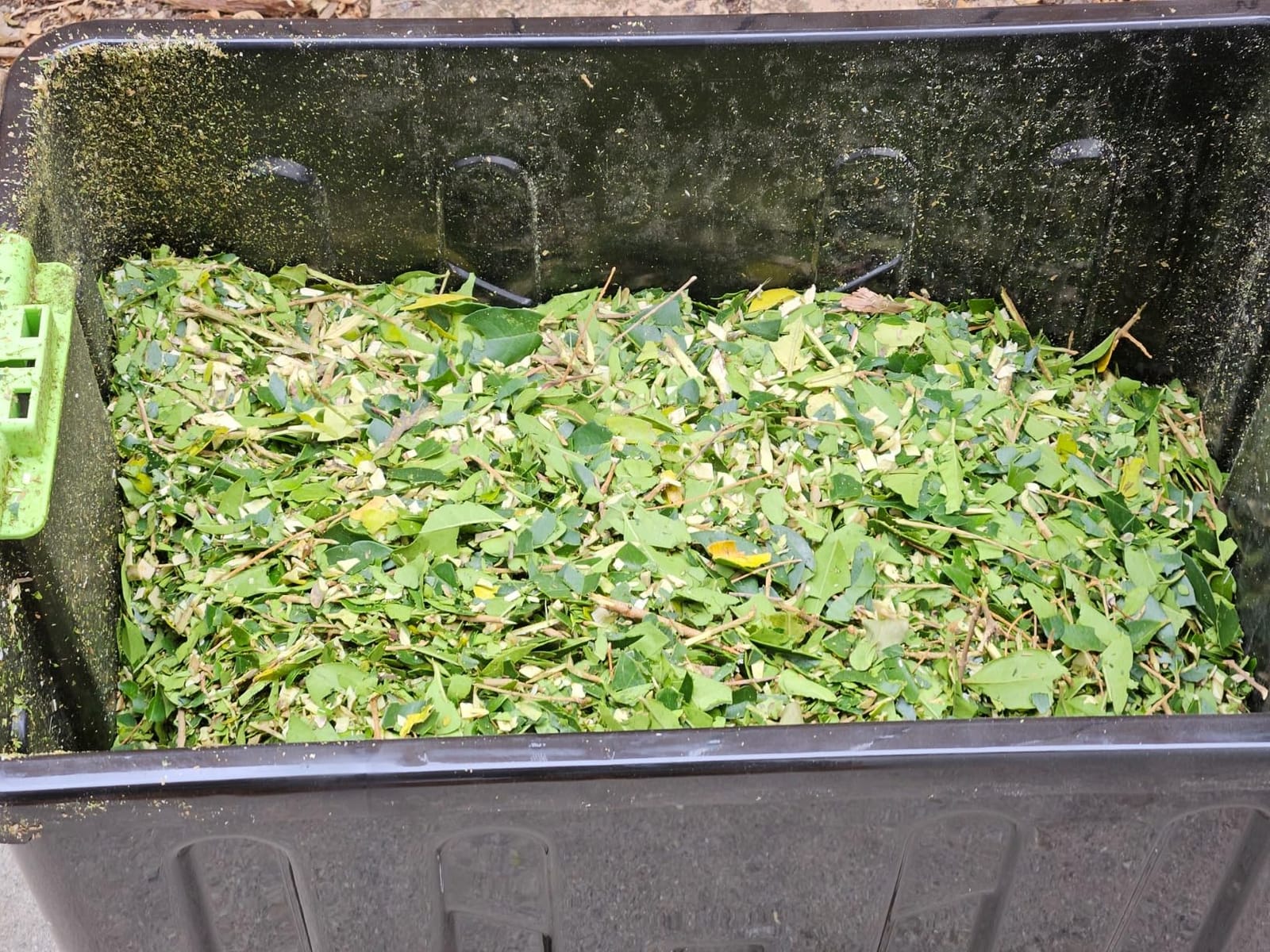 Earthwise GS70015 15-Amp Garden Corded Electric Chipper, Collection Bin customer photo 2