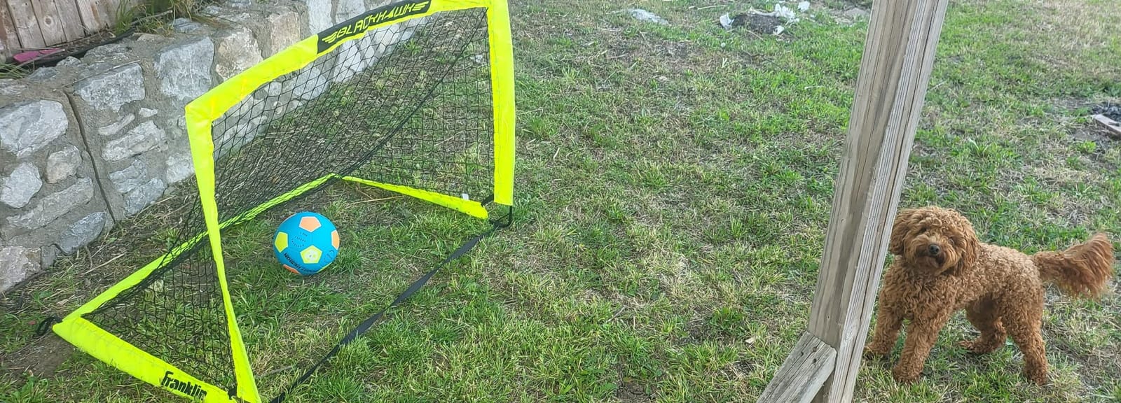 Franklin Sports Blackhawk Backyard Soccer Goal - Portable Pop Up Soccer Nets - Youth + Adult Folding Indoor + Outdoor Goals - Multiple Sizes + Colors customer photo 1